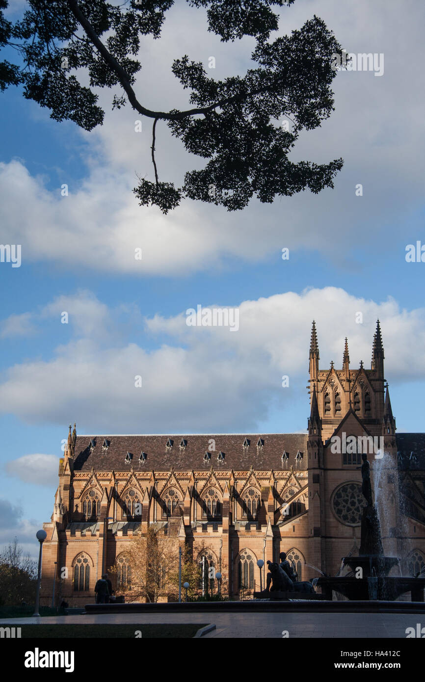 Gran Iglesia Catedral de Santa María en Sydney Fotografía de stock Alamy