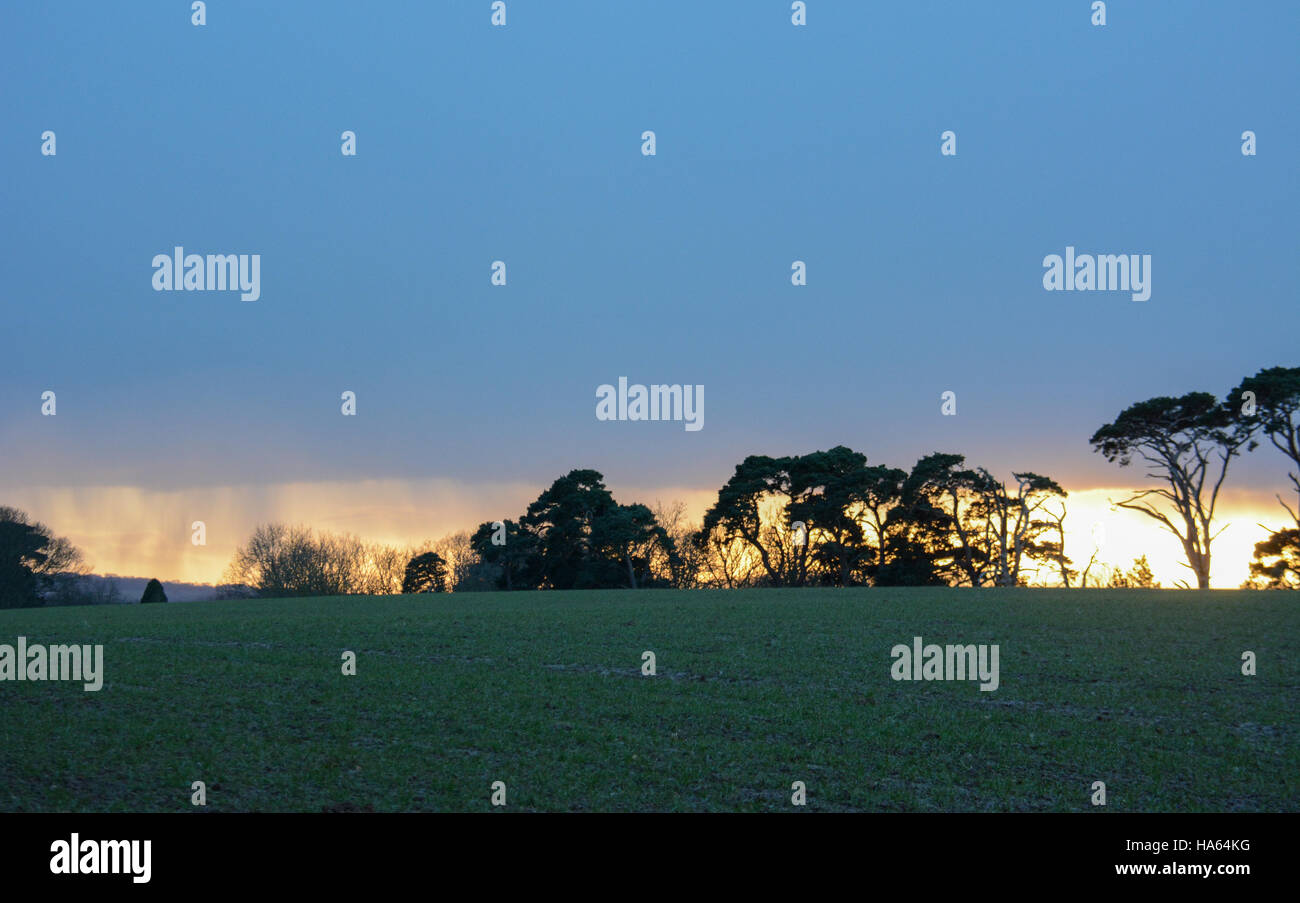 A lo largo de la colina de los árboles se perfila en el horizonte por el sol detrás y debajo de ellos con una gruesa capa de nube de lluvia Foto de stock