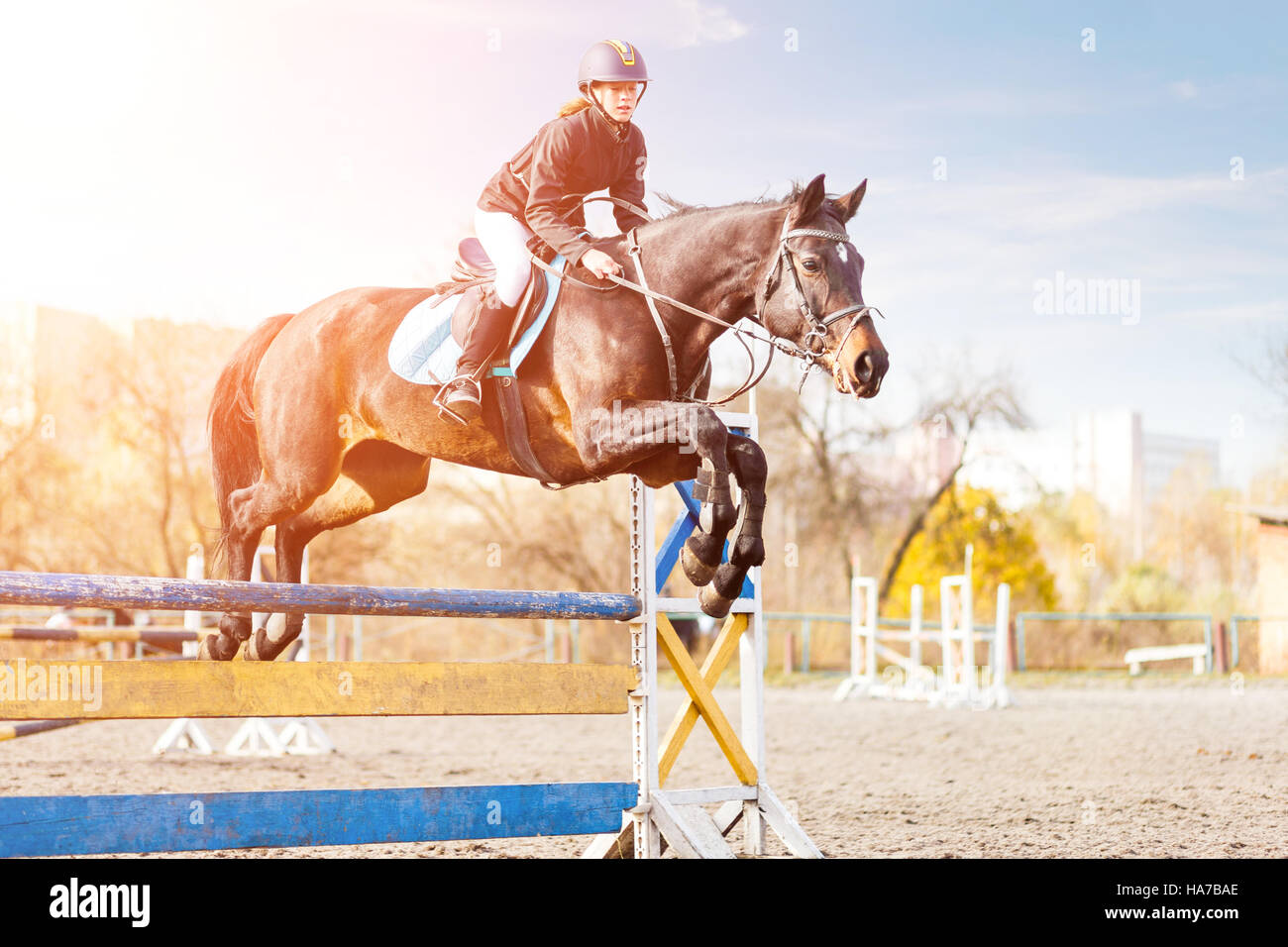 Las hembras jóvenes jinetes en bahía saltando a caballo obstáculo en la competencia deportiva ecuestre Foto de stock