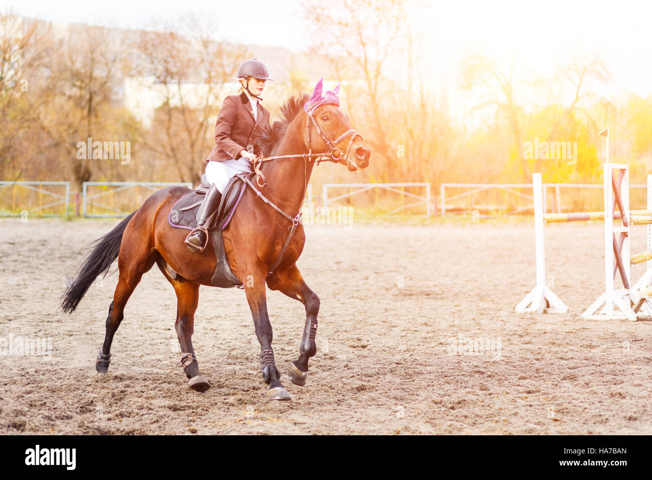 Mujer joven jinete en caballo en la competencia. Antecedentes del deporte ecuestre Foto de stock
