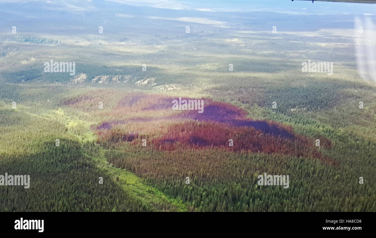 19982763876 alaskanps Lockwood fuego, puertas del Arctic National Park y preservar-2015-AFS Foto Foto de stock