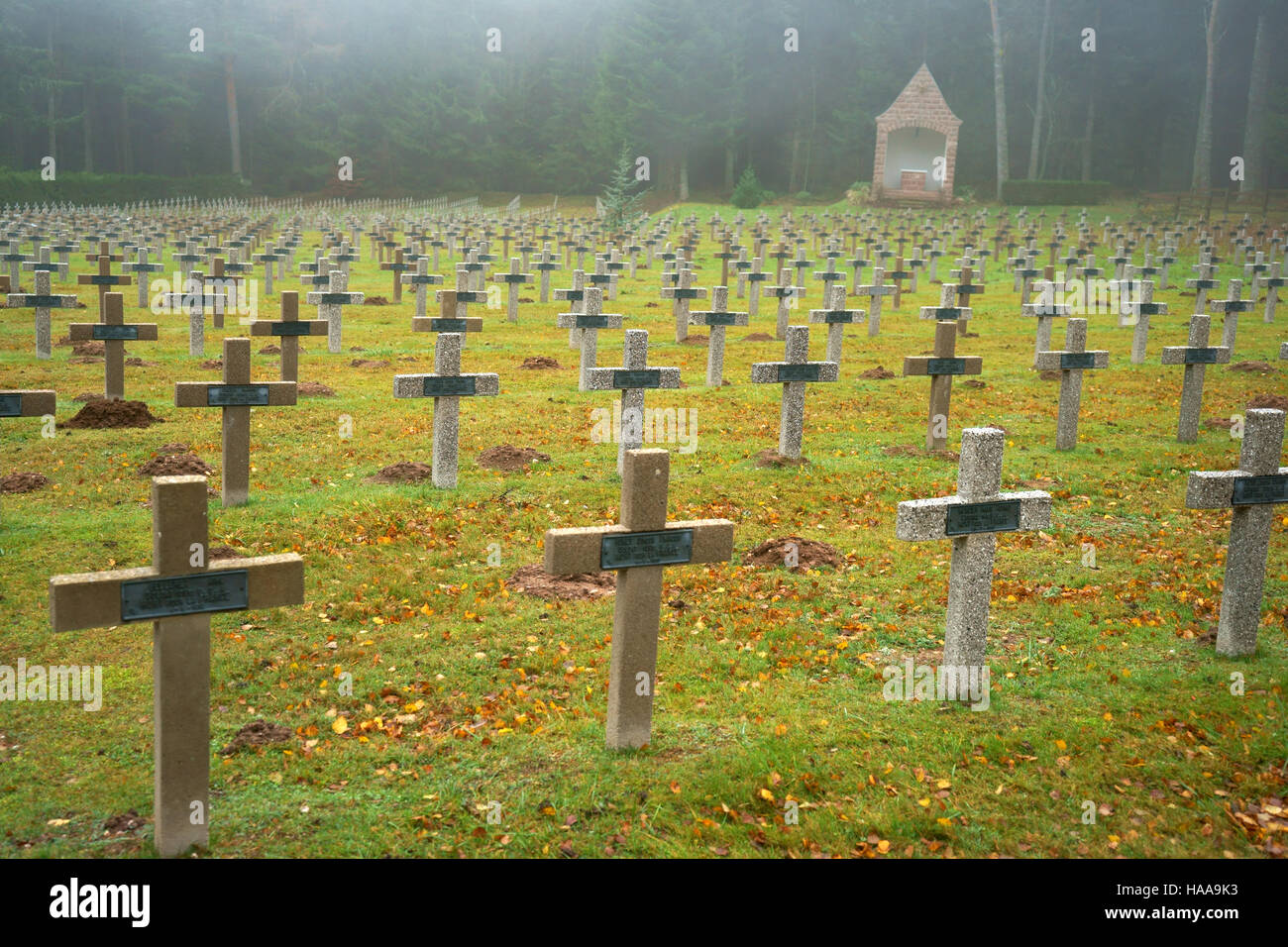 La I Guerra Mundial Cementerio Nacional Col du Wettstein à Orbey, soldados franceses, montañas, Alasace Vosgese, Francia Foto de stock
