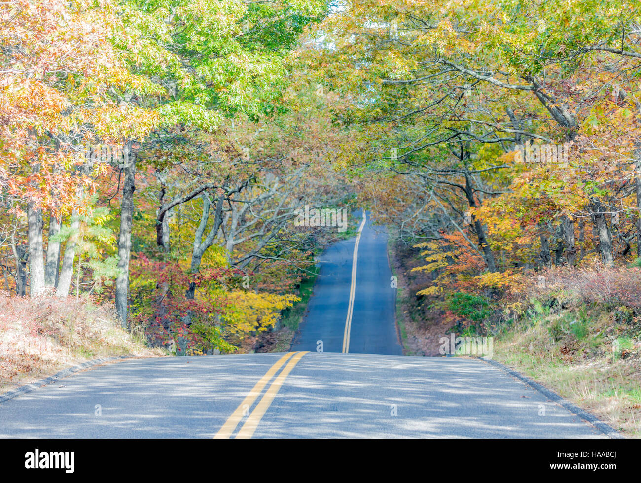 Un largo camino pavimentado a través de ondulantes a principios del otoño, los árboles Foto de stock