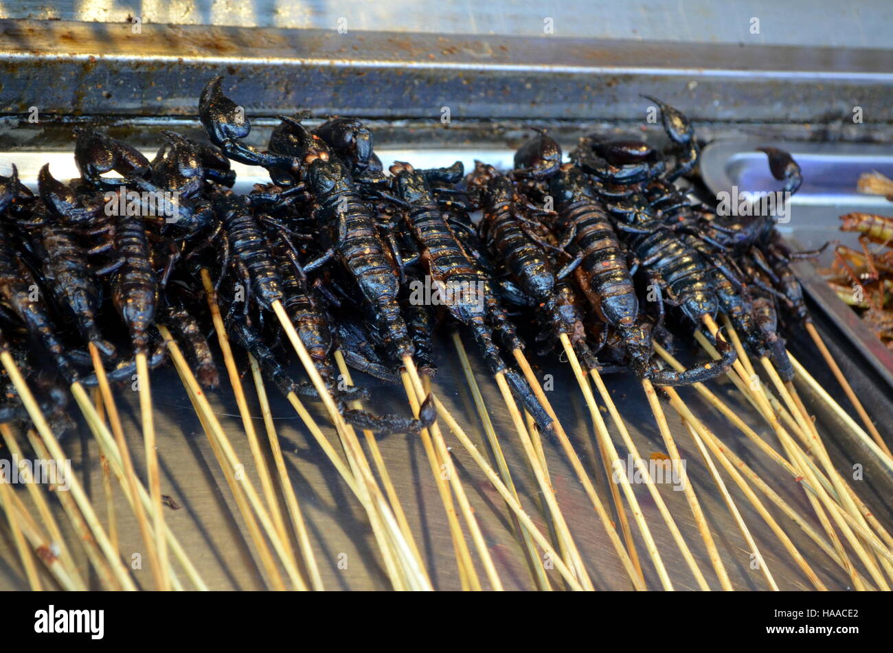 La comida callejera de China en el hutong de Beijing Wangfujing Street asado escorpiones como snack comida callejera en China Fotografía de stock - Alamy La comida callejera de China en el hutong de Beijing Wangfujing Street asado escorpiones como snack comida callejera en China Fotografía de stock - Alamy