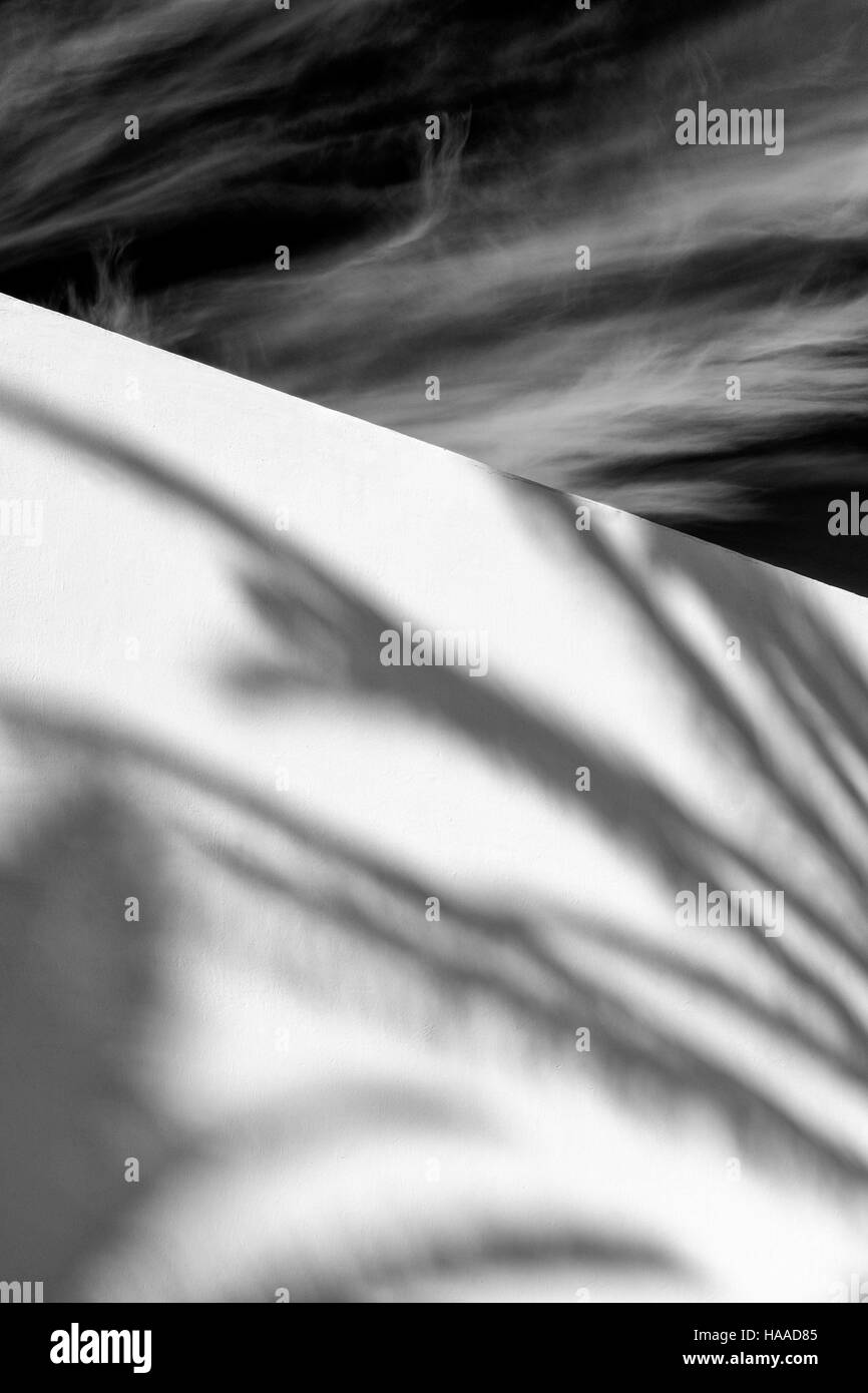 Imagen en blanco y negro de palmera sombras en una pared blanca contra un cielo oscuro con nubes blancas Foto de stock