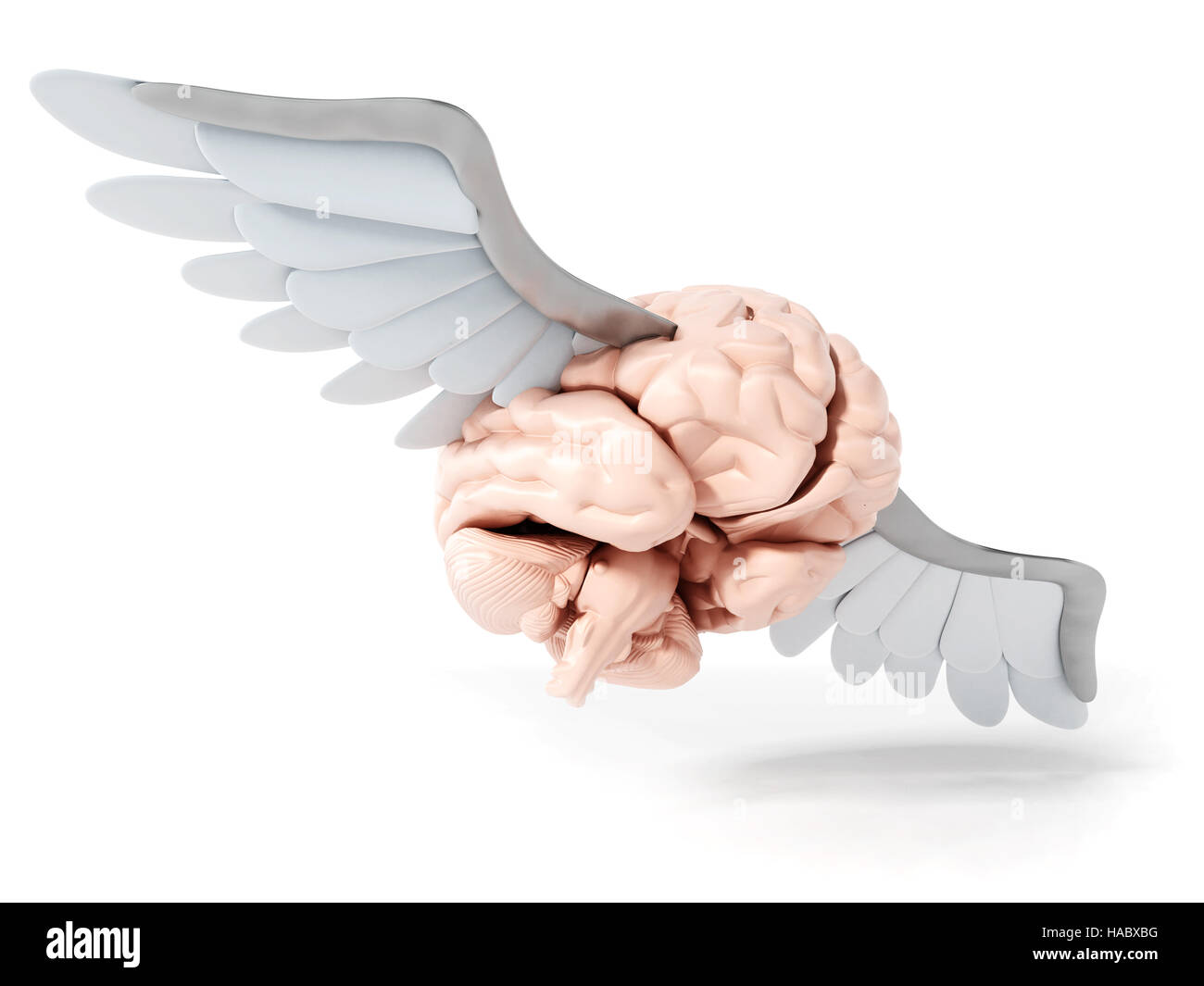 Cerebro volando con alas blancas. Ilustración 3D. Foto de stock