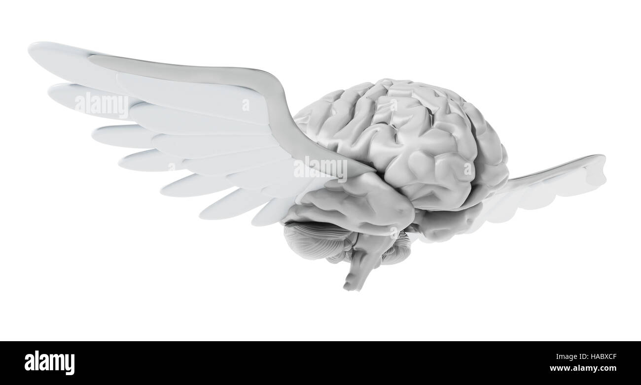 Cerebro volando con alas blancas. Ilustración 3D. Foto de stock