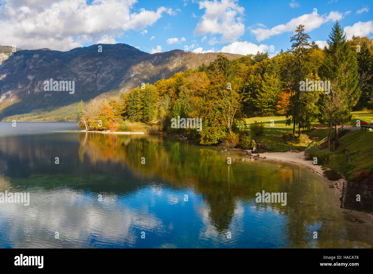 Los árboles con hermosos colores de otoño bajo un cielo azul se reflejan en el lago de Bohinj en el Parque Nacional de Triglav, en Eslovenia. Foto de stock