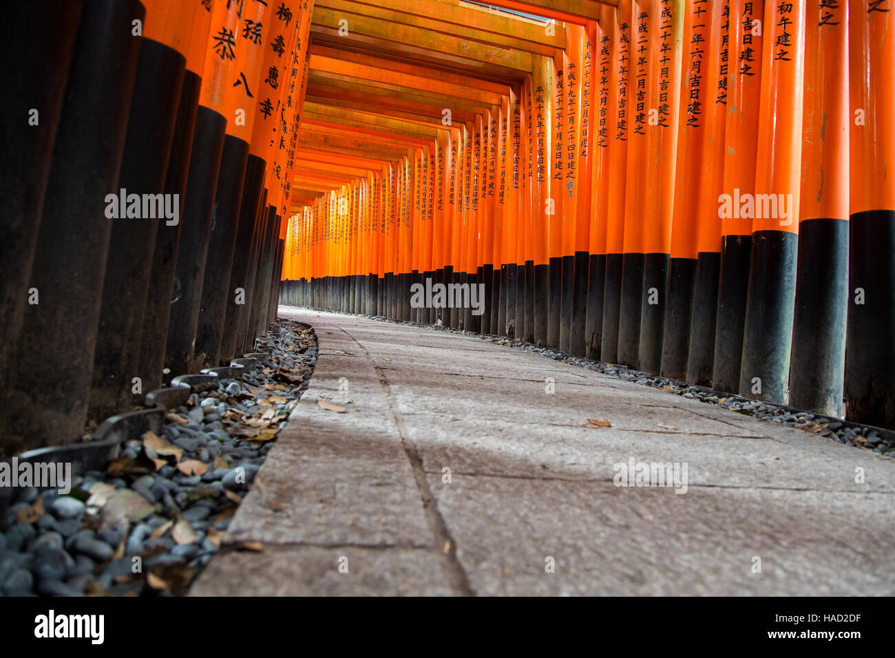 Pasarela en el santuario Fushimi Inari en Kioto, Japón Foto de stock