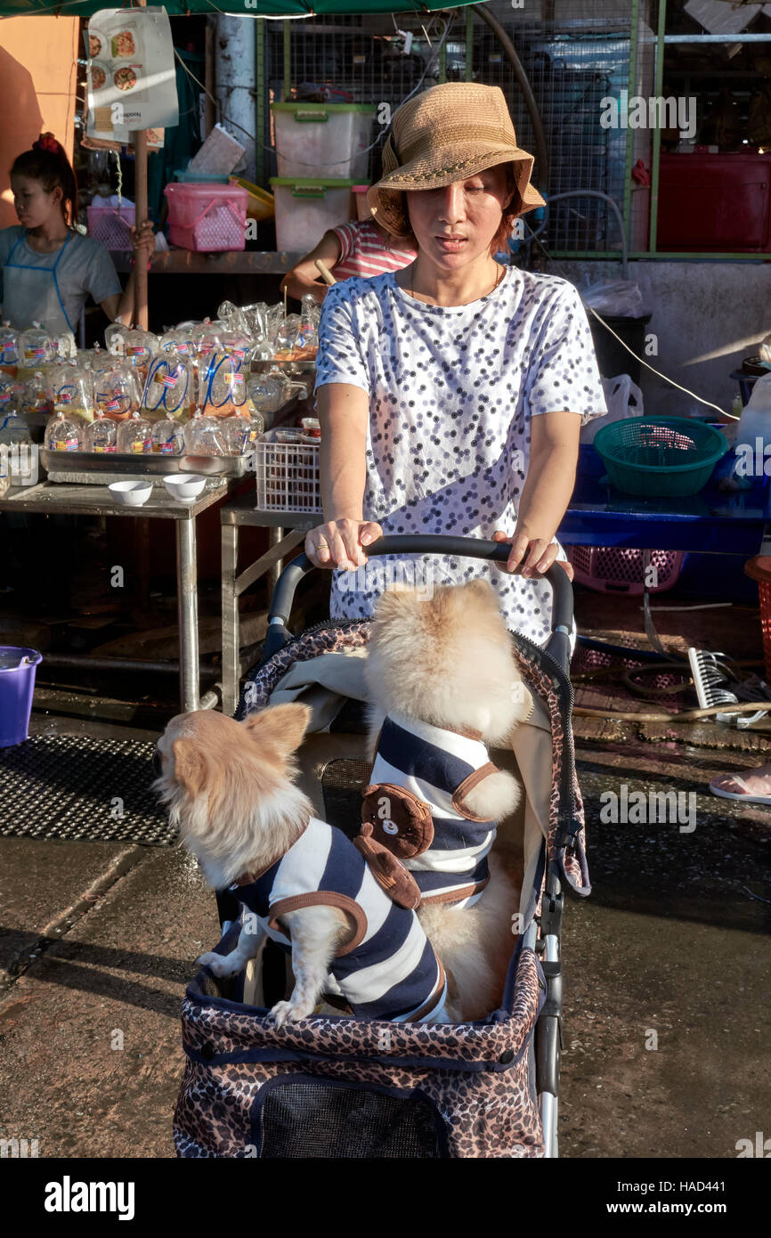 Mujer transportar mascotas perros mimados en un cochecito infantil. Tailandia S. E. Asia Foto de stock