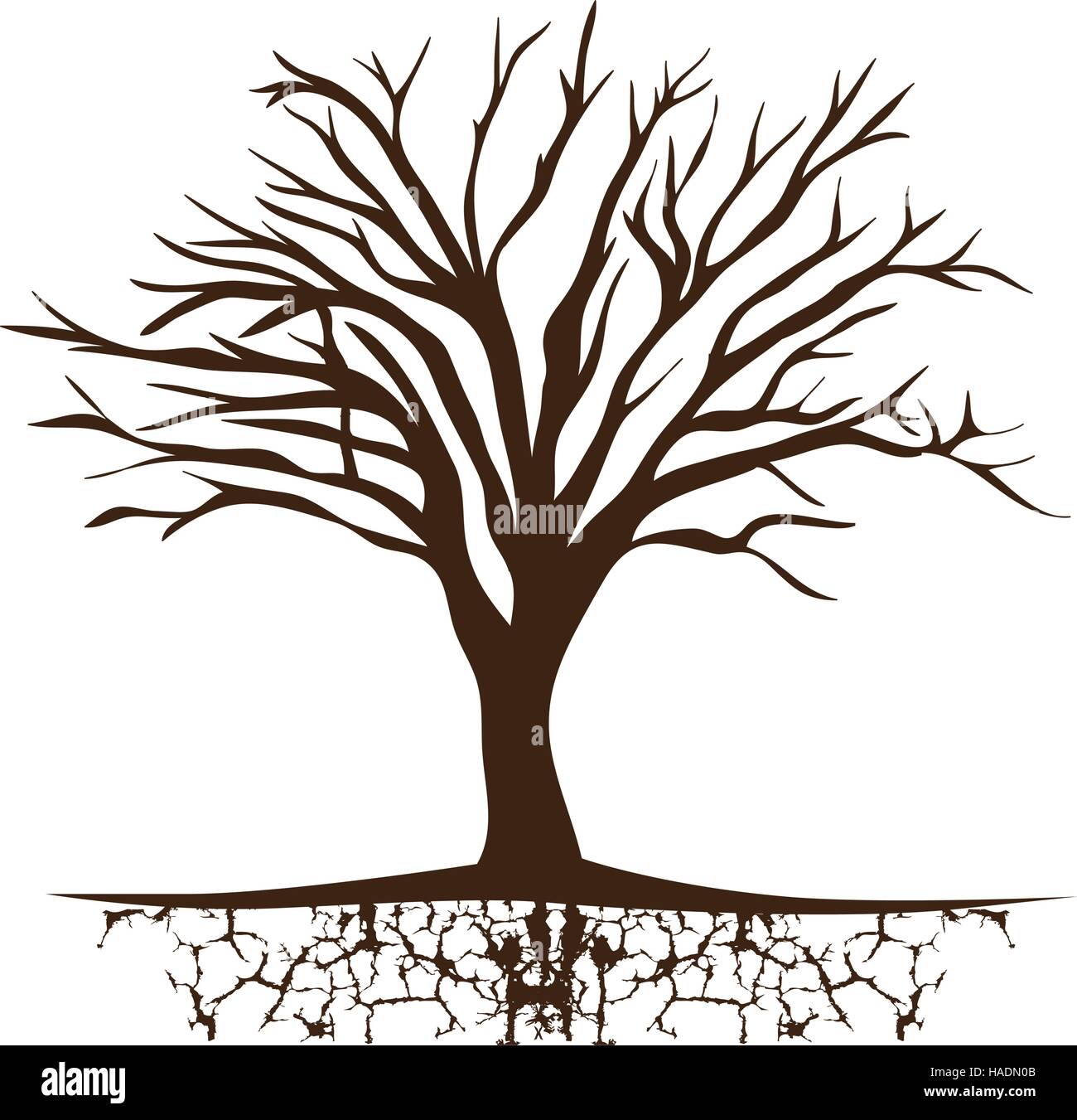 Tronco de árbol con las sucursales sin hojas ilustración vectorial Imagen  Vector de stock - Alamy