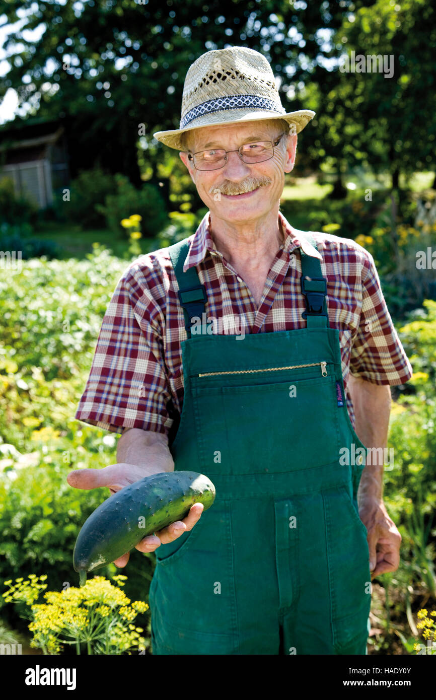Orgulloso jardinero cosechando vegetales, sosteniendo un pepino en sus manos Foto de stock