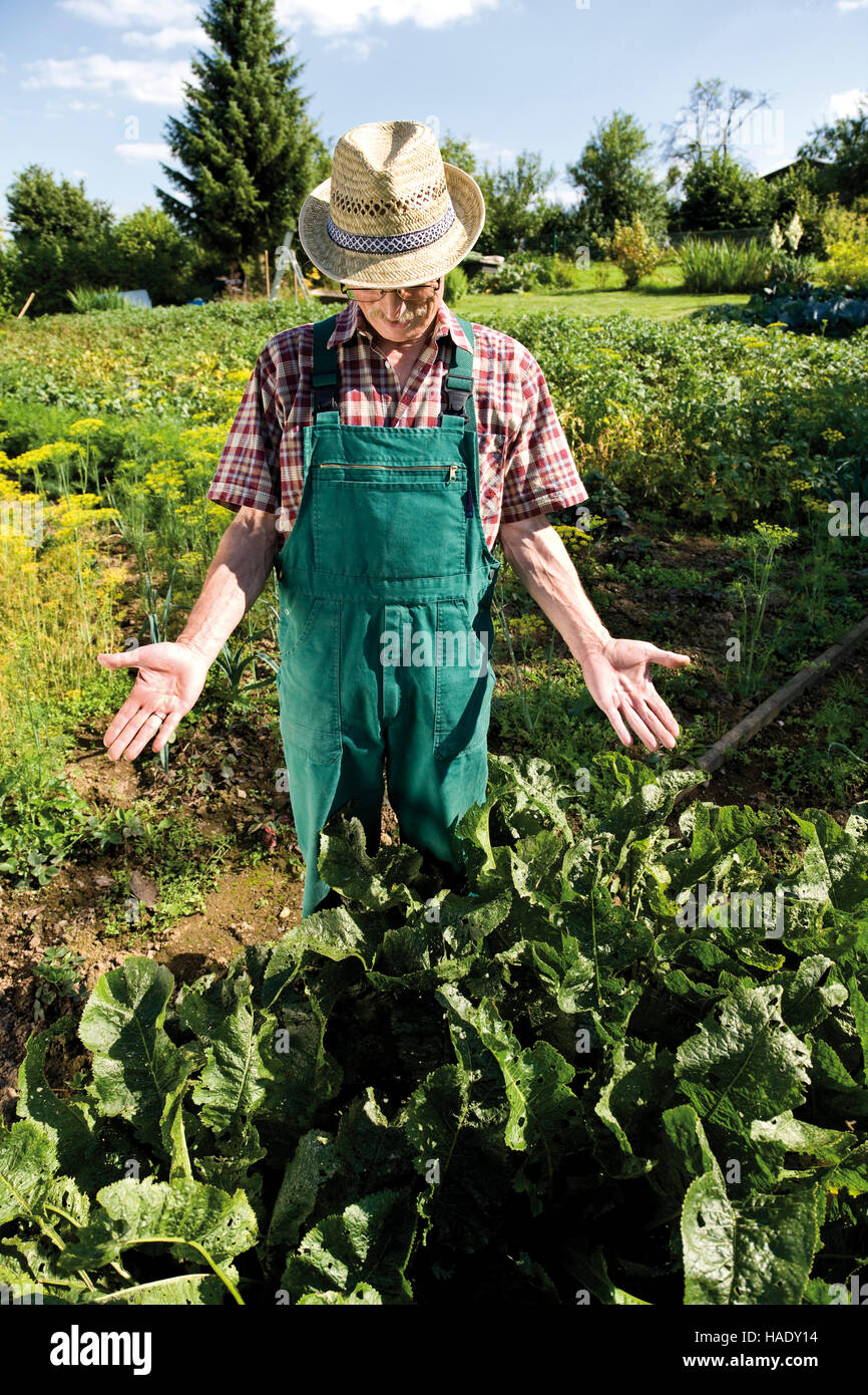 Orgulloso jardinero en frente de su parcela de hortalizas Foto de stock