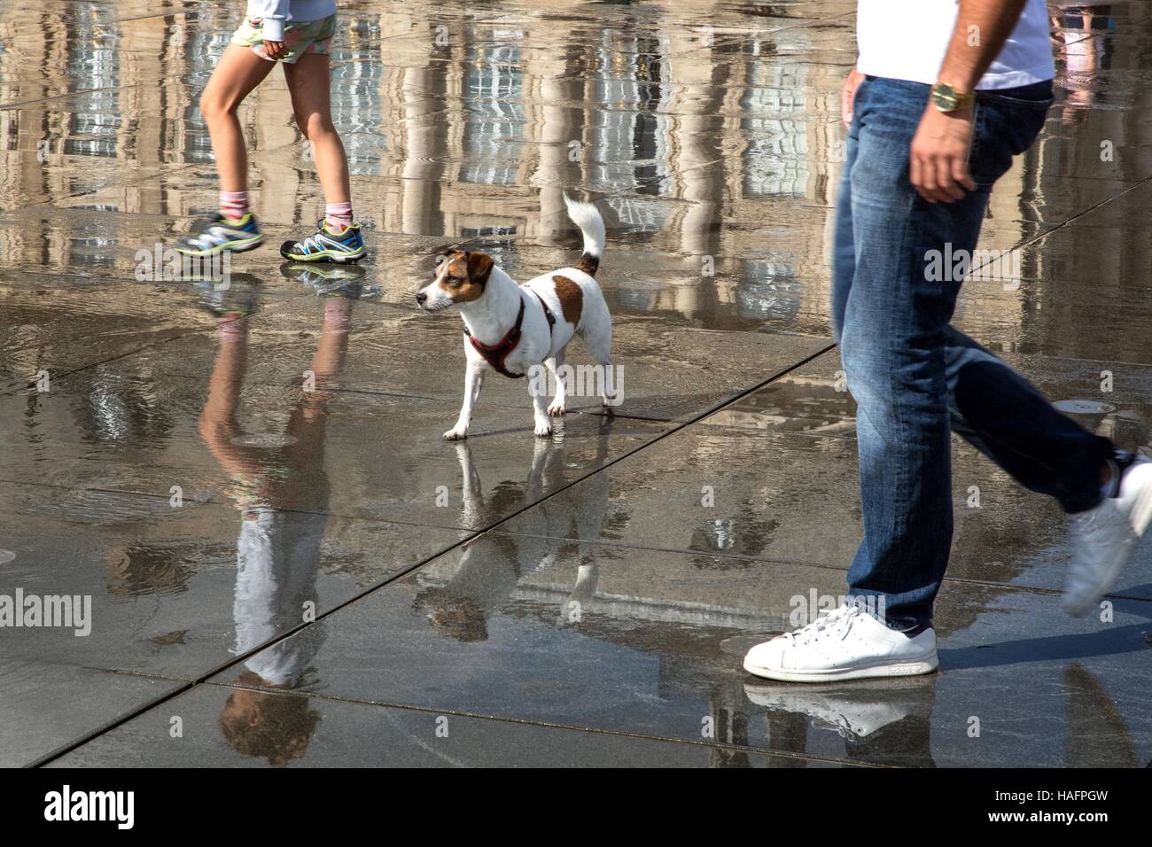 Ilustración de la ciudad de Burdeos, (33) Gironde, Aquitania, Francia Foto de stock