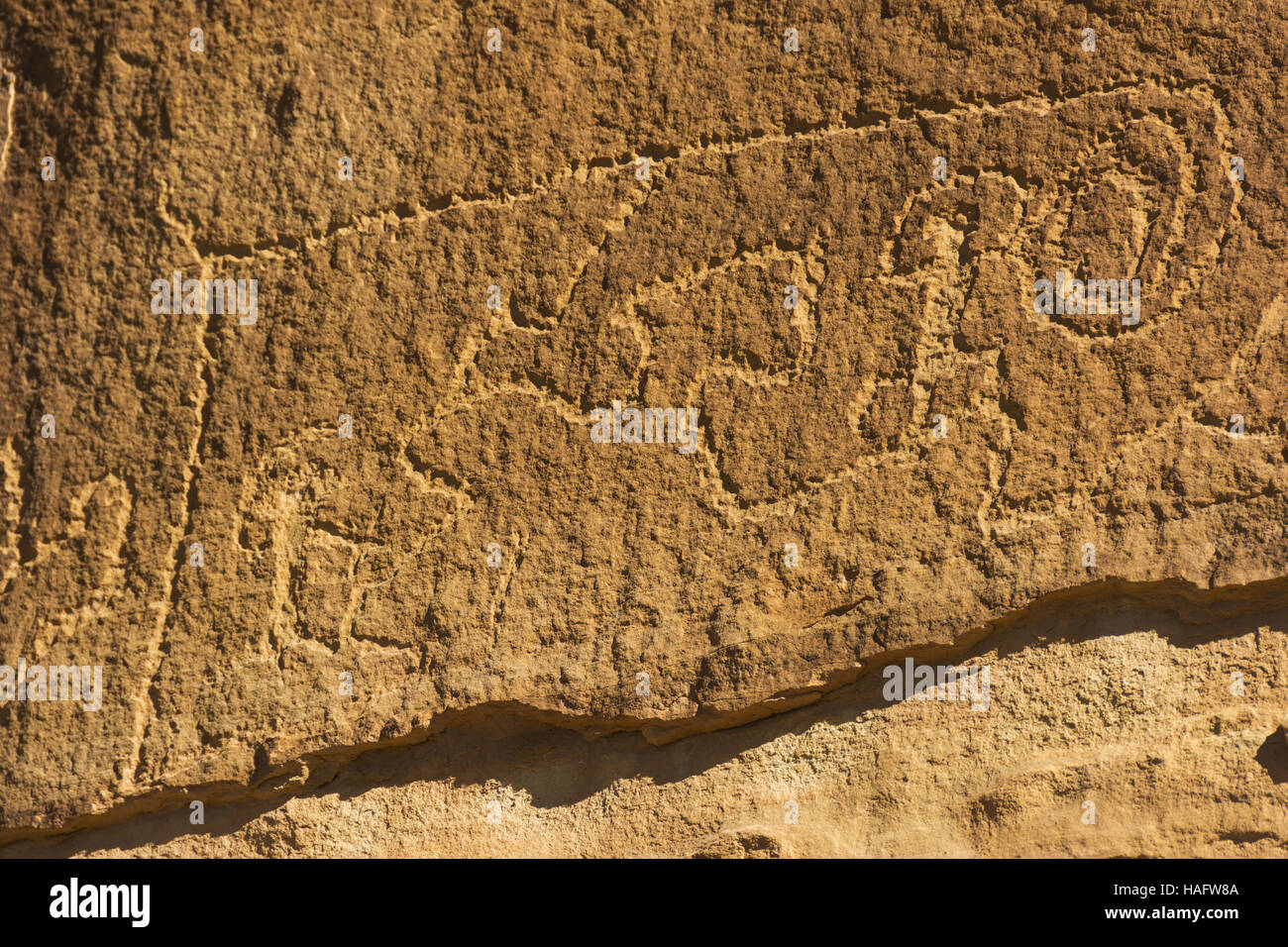 Colorado, el Parque Nacional Mesa Verde, punto de petroglifos Trail, petroglifos Foto de stock