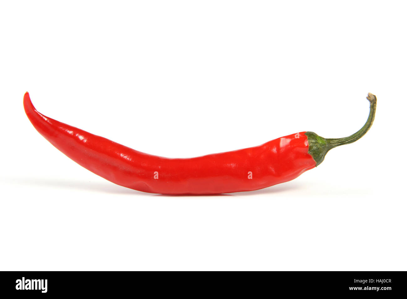 Red hot chili pepper Foto de stock