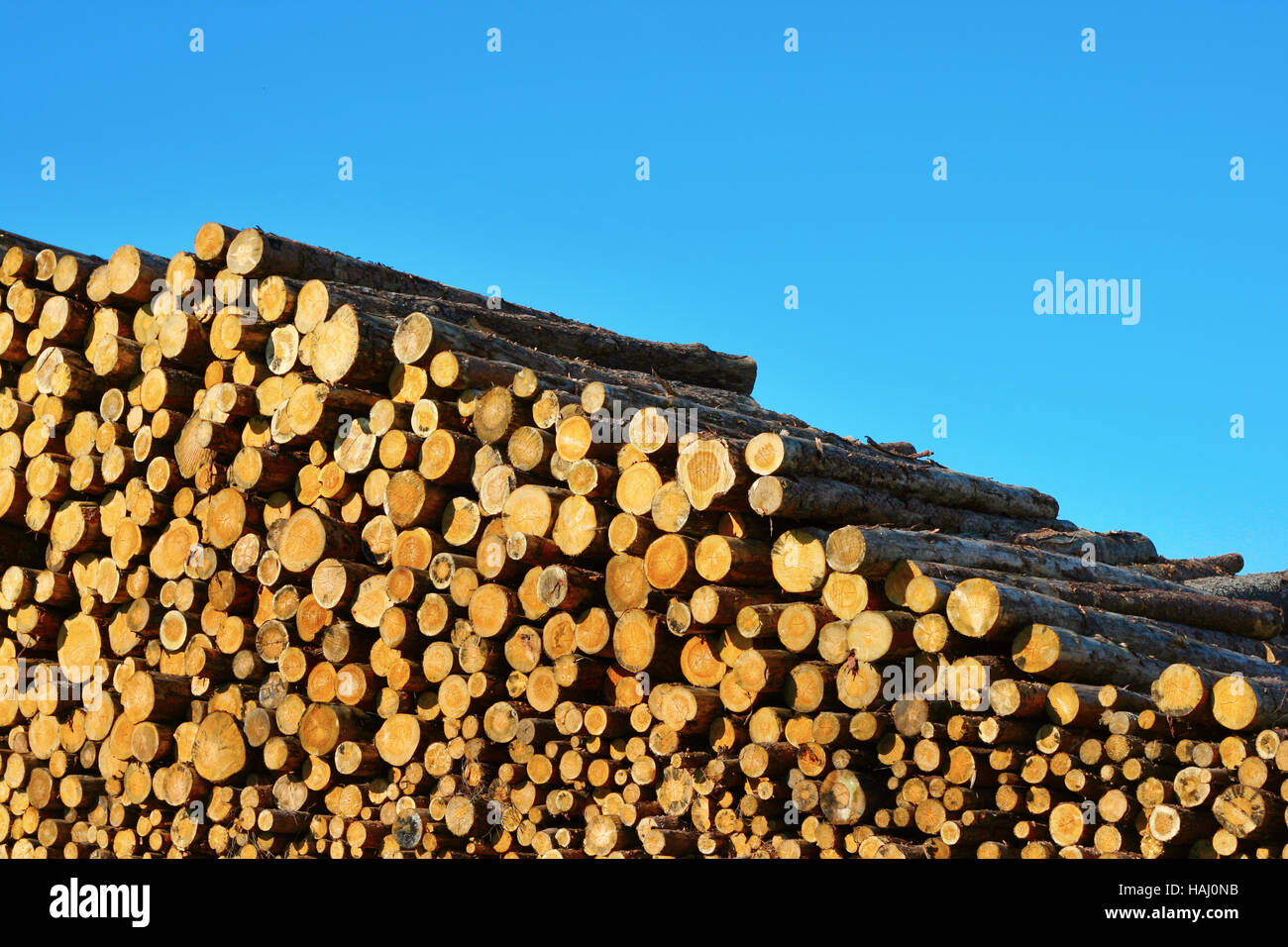 Montón de troncos de madera Foto de stock