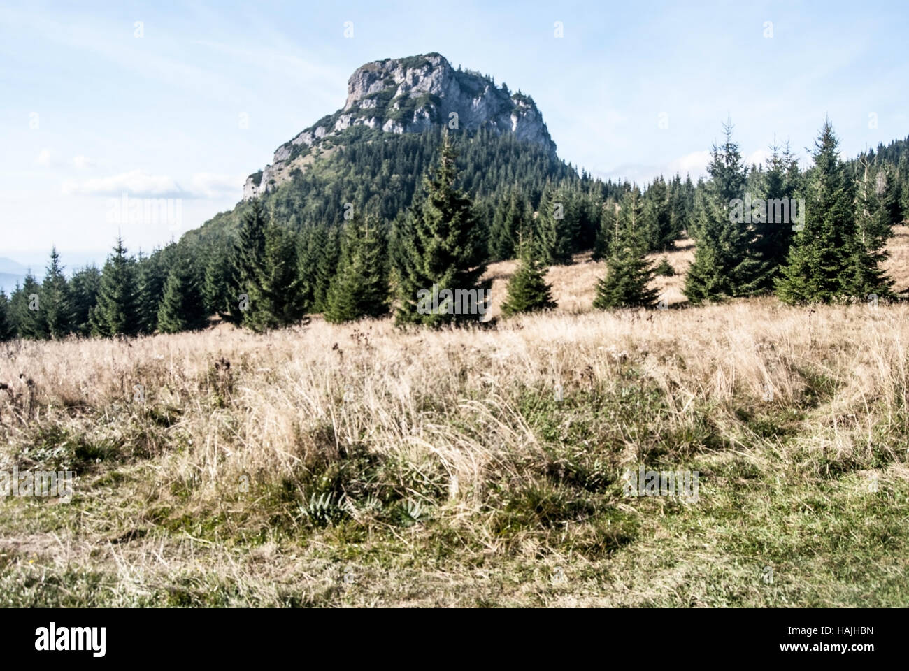 Maly Rozsutec piedra caliza Cerro y pradera de montaña con árboles en otoño de Mala Fatra montañas en Eslovaquia desde Medzirozsutce Foto de stock