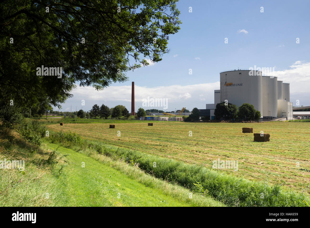 Silo del Suikerunie Foto de stock