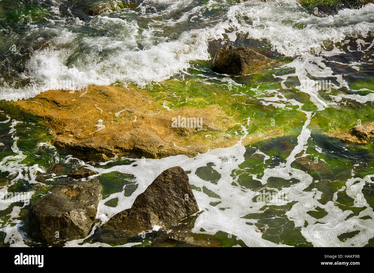 Tranquilo paisaje marino de las salpicaduras de las olas sobre las rocas, cubiertos de algas Foto de stock