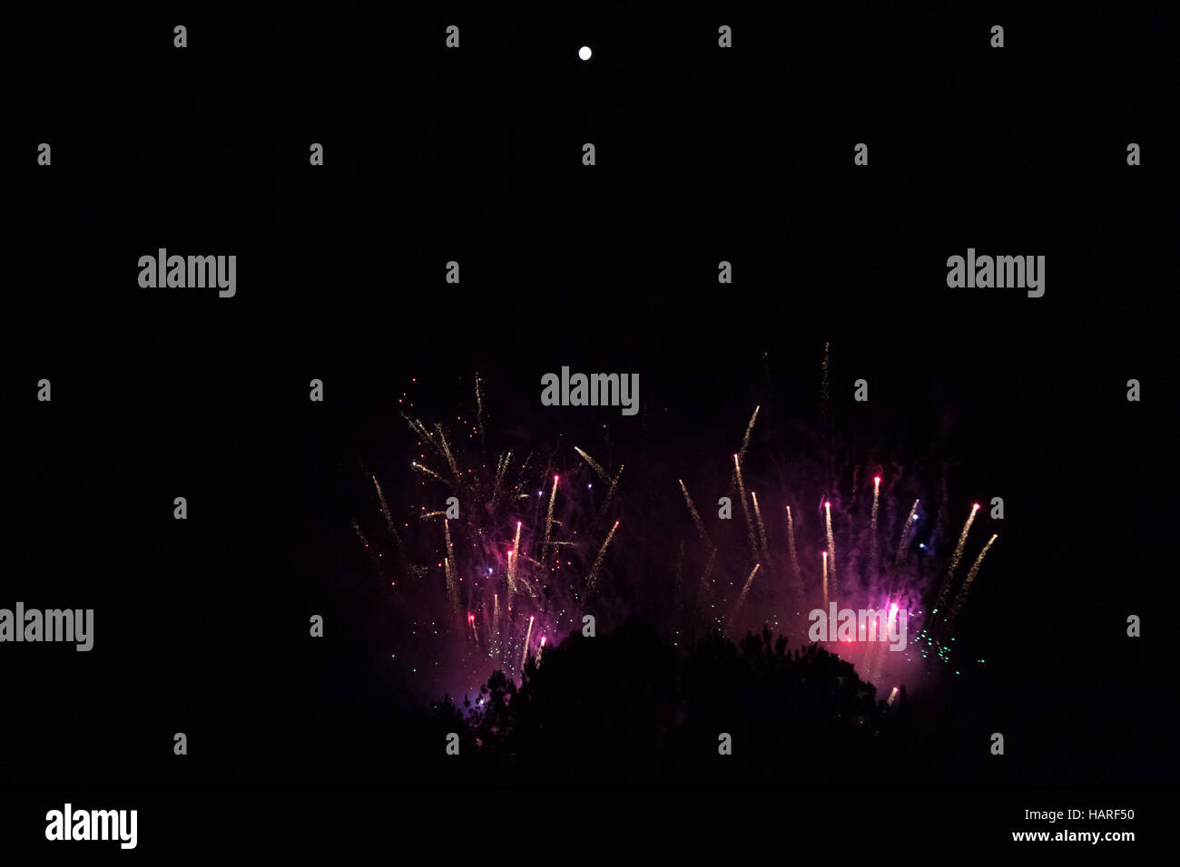Fuegos artificiales, detrás de un árbol silueta, pasando de una neblina de humo violeta a cohetes hacia una luna llena brillante llegando a su ápice Foto de stock