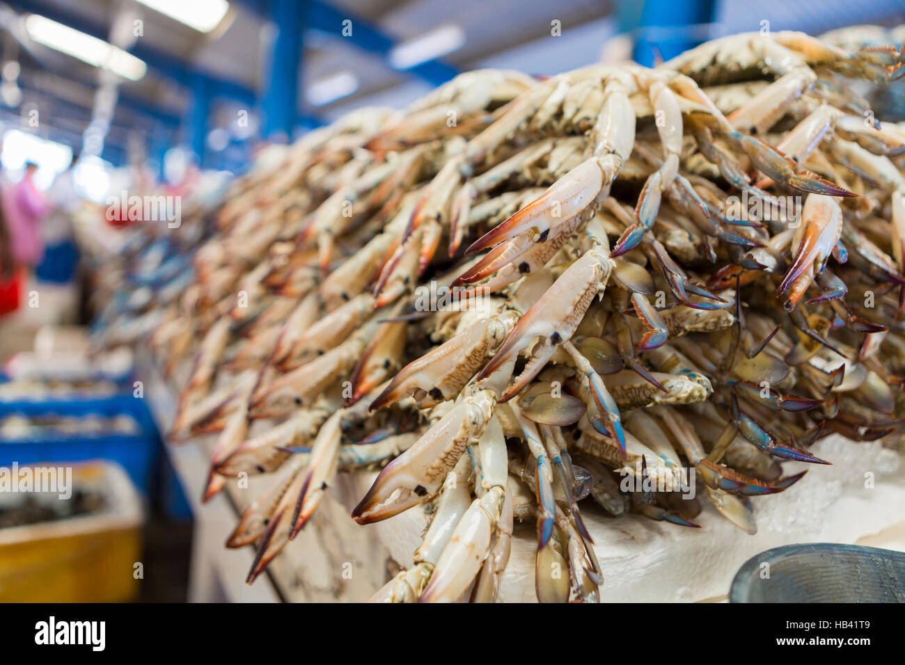 Los cangrejos frescos en el mercado de pescado de Dubai, EAU Foto de stock