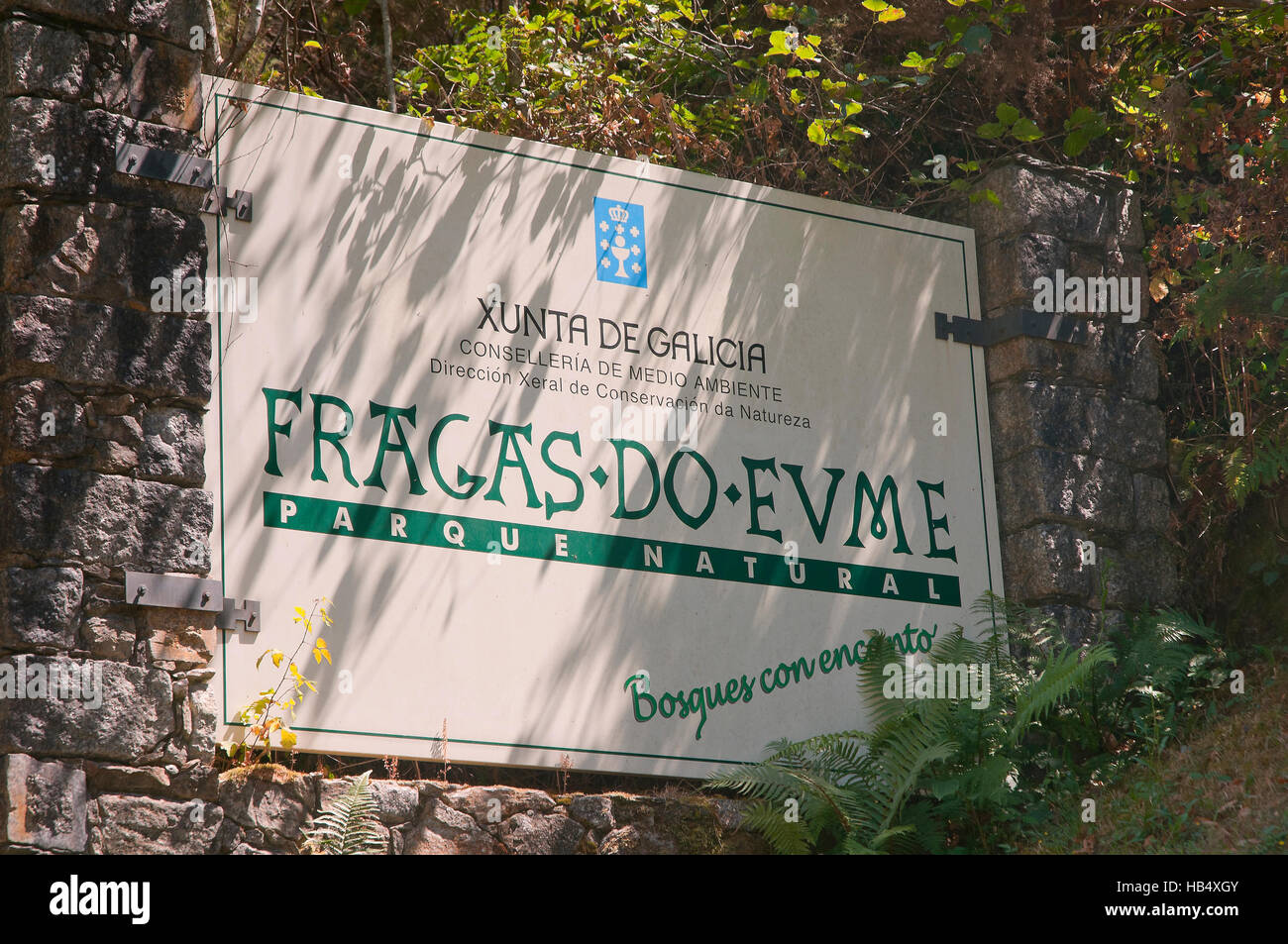 El Parque Natural Fragas do Eume, póster, Pontedeume, La Coruña provincia, región de Galicia, España, Europa Foto de stock