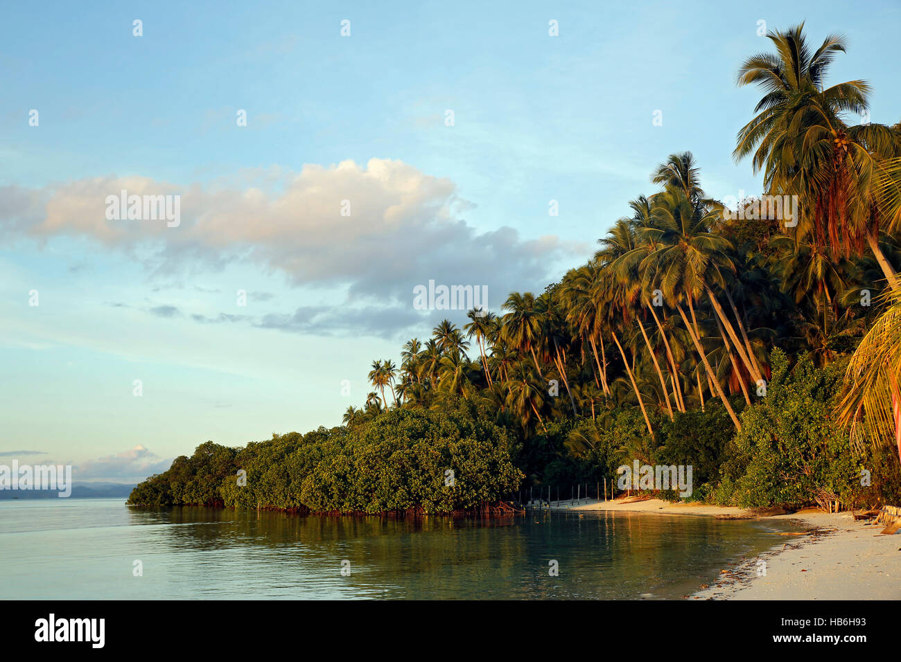 Las palmeras y playa en Raja Ampat Lodge de Buceo en Isla Mansuar. Raja Ampat, Indonesia Foto de stock