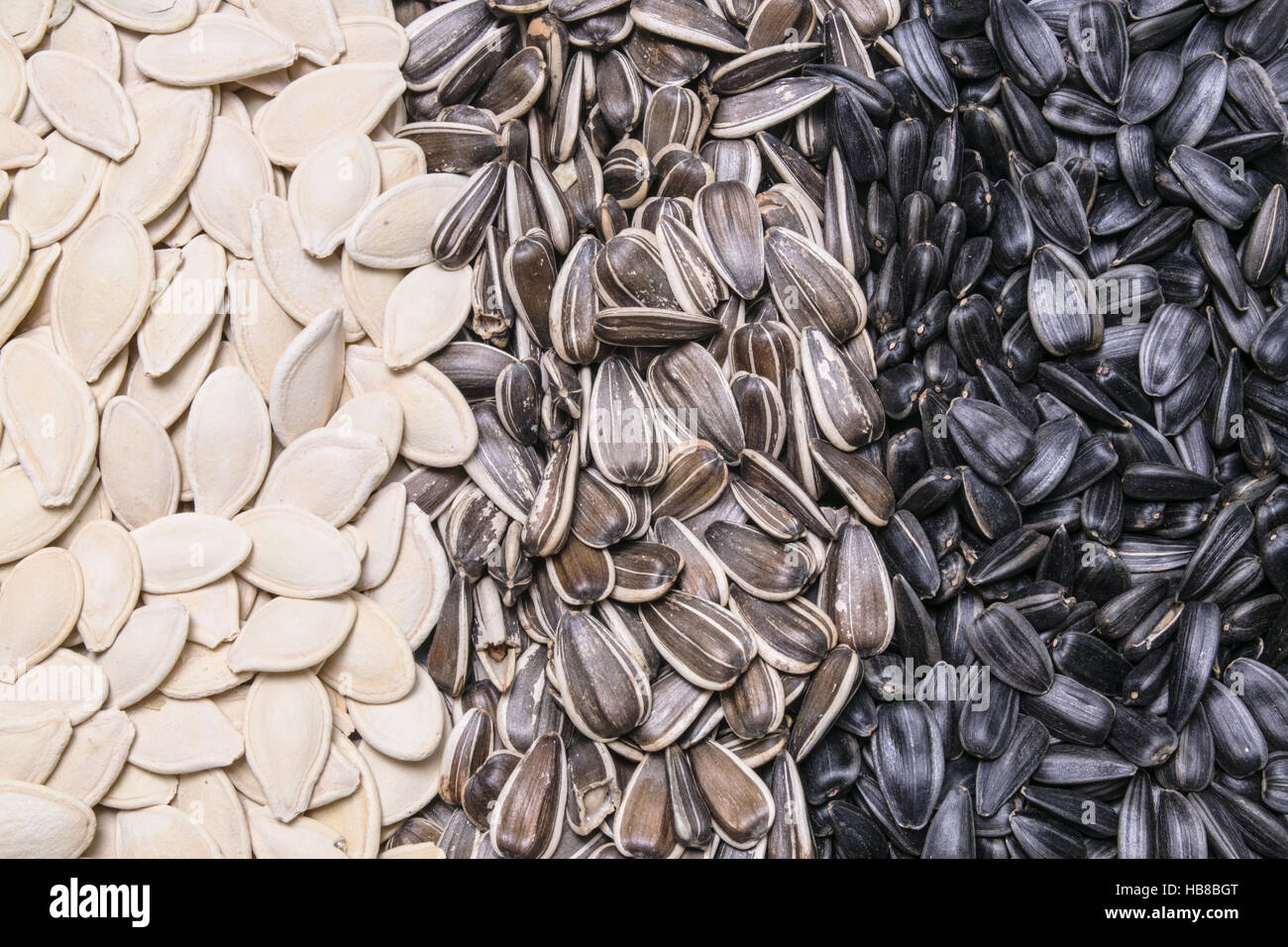 Semillas de girasol y las semillas de calabaza, la textura de fondo  Fotografía de stock - Alamy