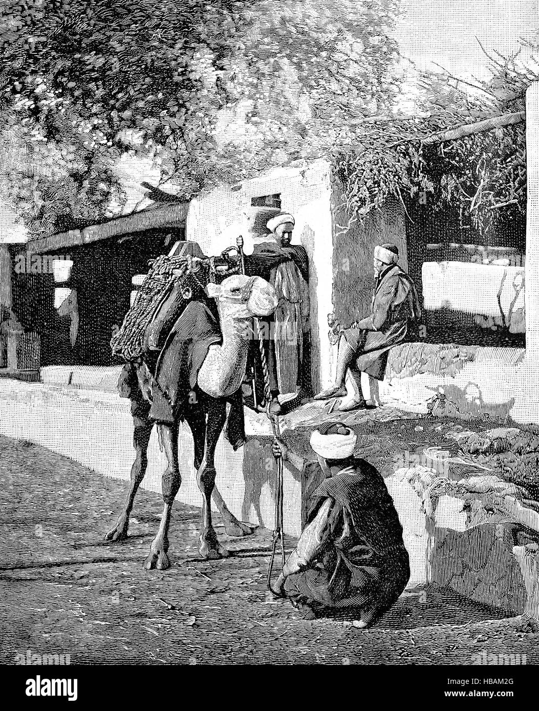 Conductor de camellos antes de la salida para el viaje a través del desierto libio, ilustración hictorical desde 1880 Foto de stock