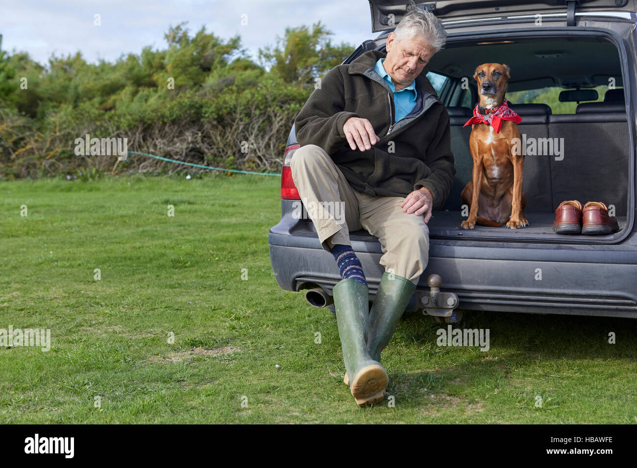 Hombre y el perro sentado en el maletero del coche quitando las botas Wellington Foto de stock