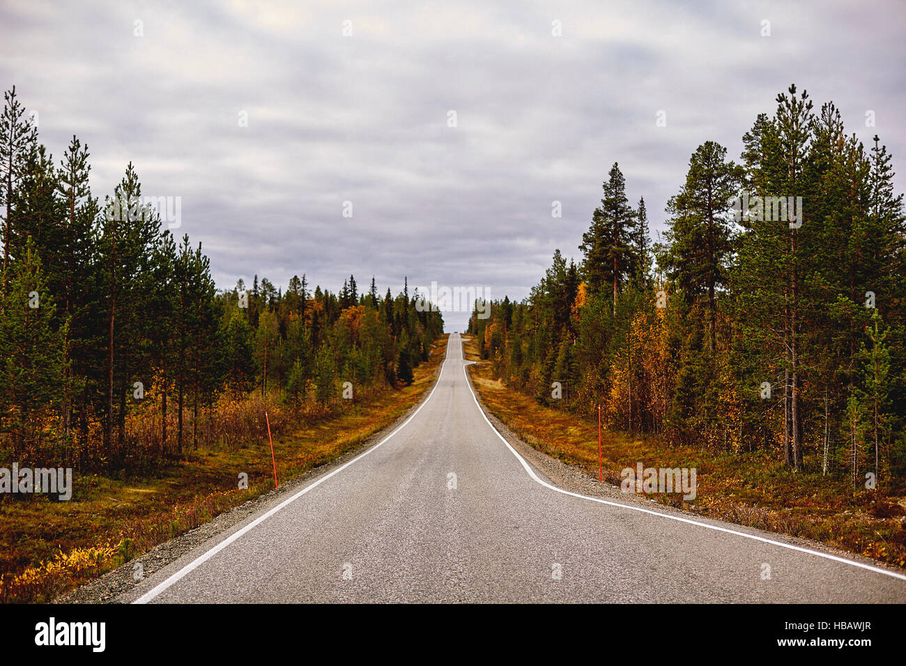 Carretera Escénica, Keimiotunturi, Laponia, Finlandia Foto de stock