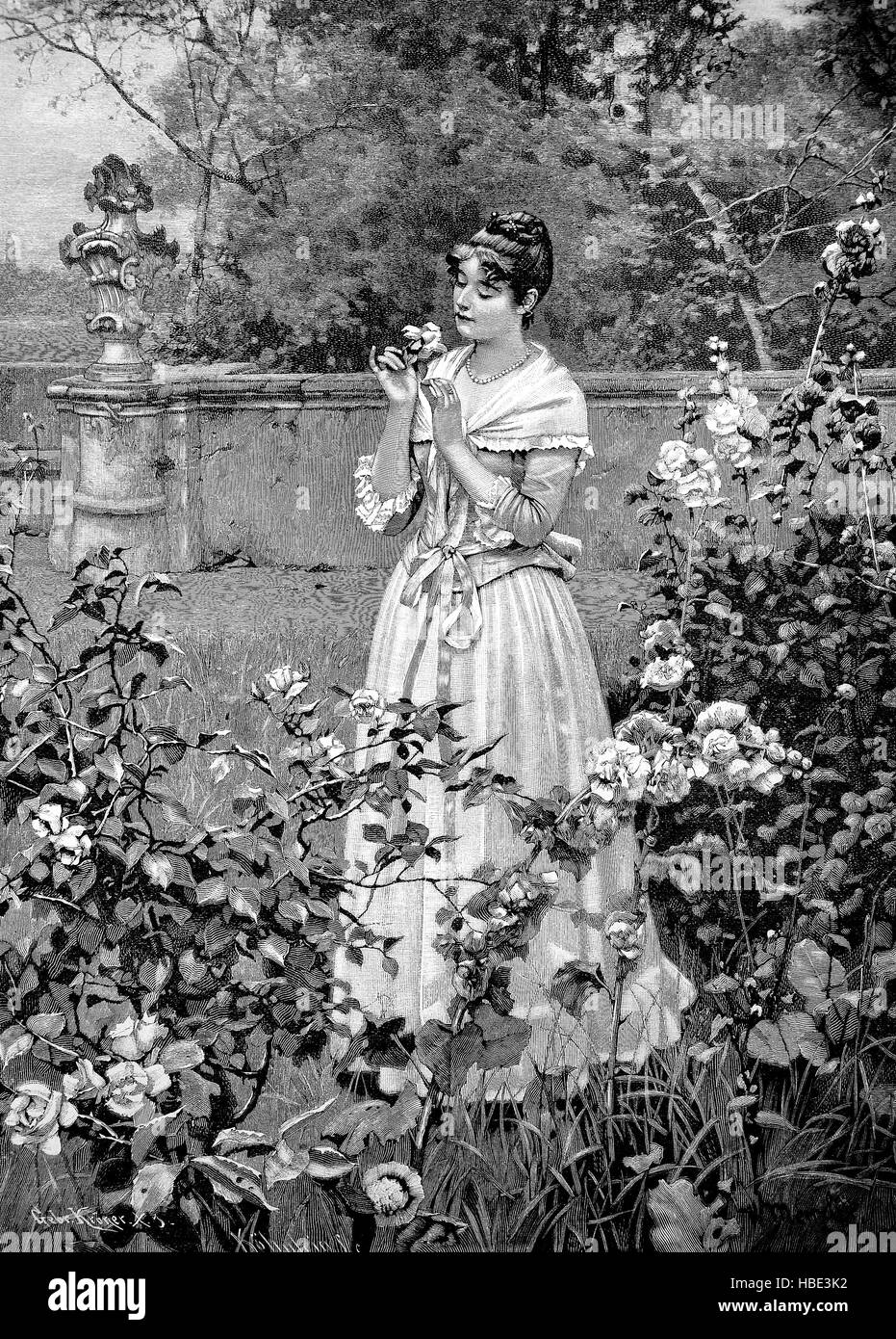 Elegante dama joven está de pie en el jardín, flores de verano, las rosas, la ilustración, la xilografía desde 1880 Foto de stock