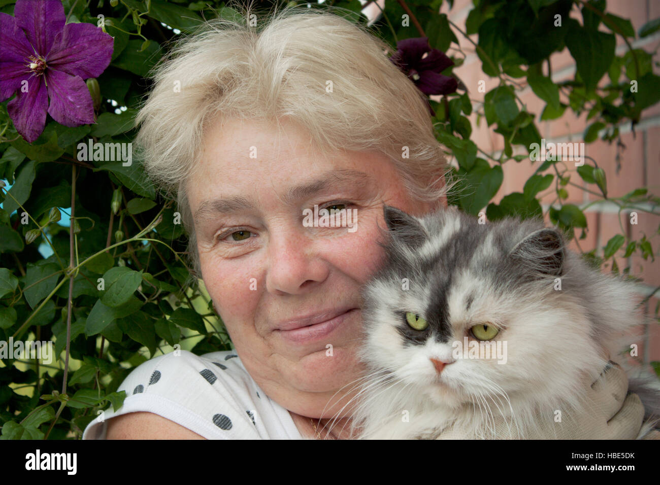 Una ama de casa y su mascota cat. Foto de stock