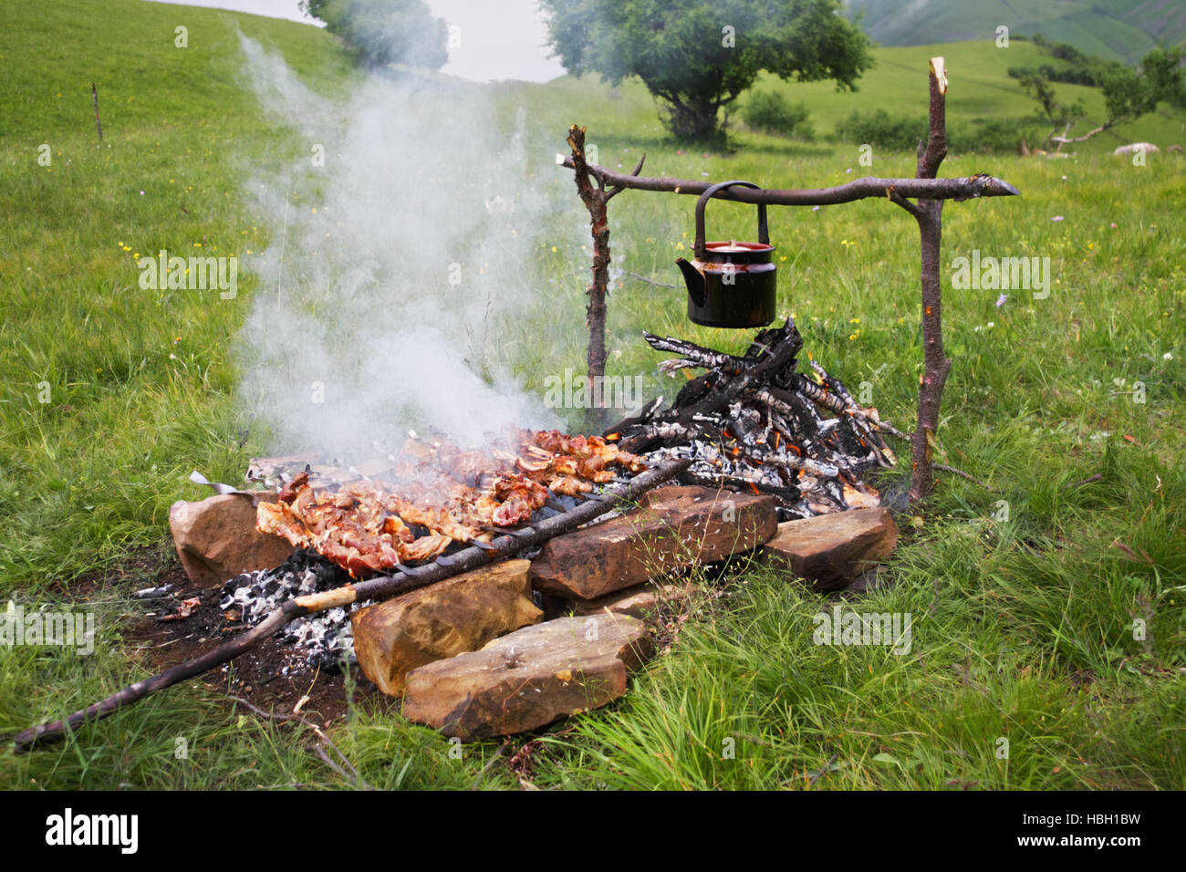 Carne asada al carbón de leña Foto de stock