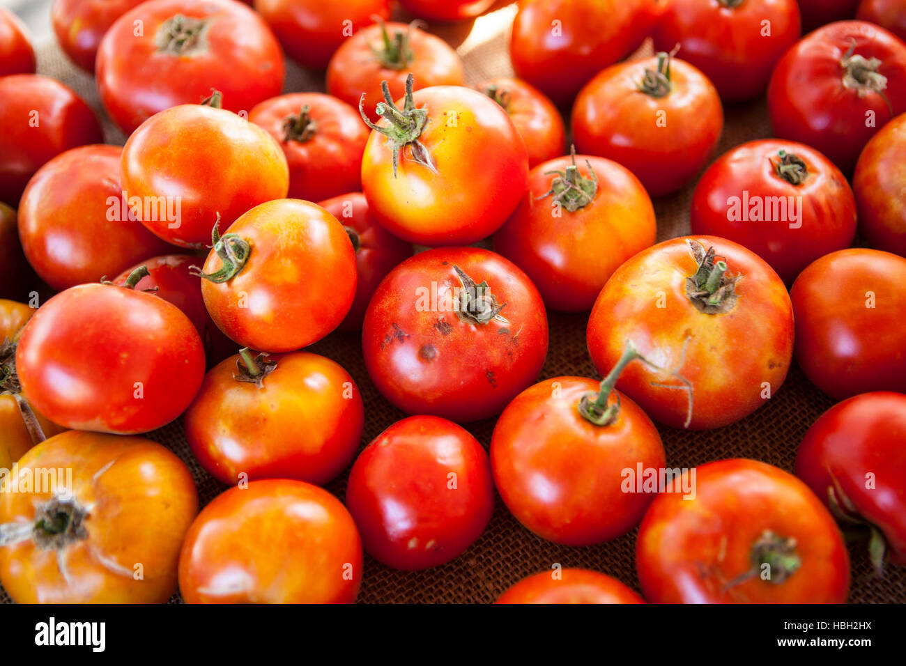 Reliquia orgánicos tomates, Mercado de Granjeros, en Santa Bárbara, California Foto de stock