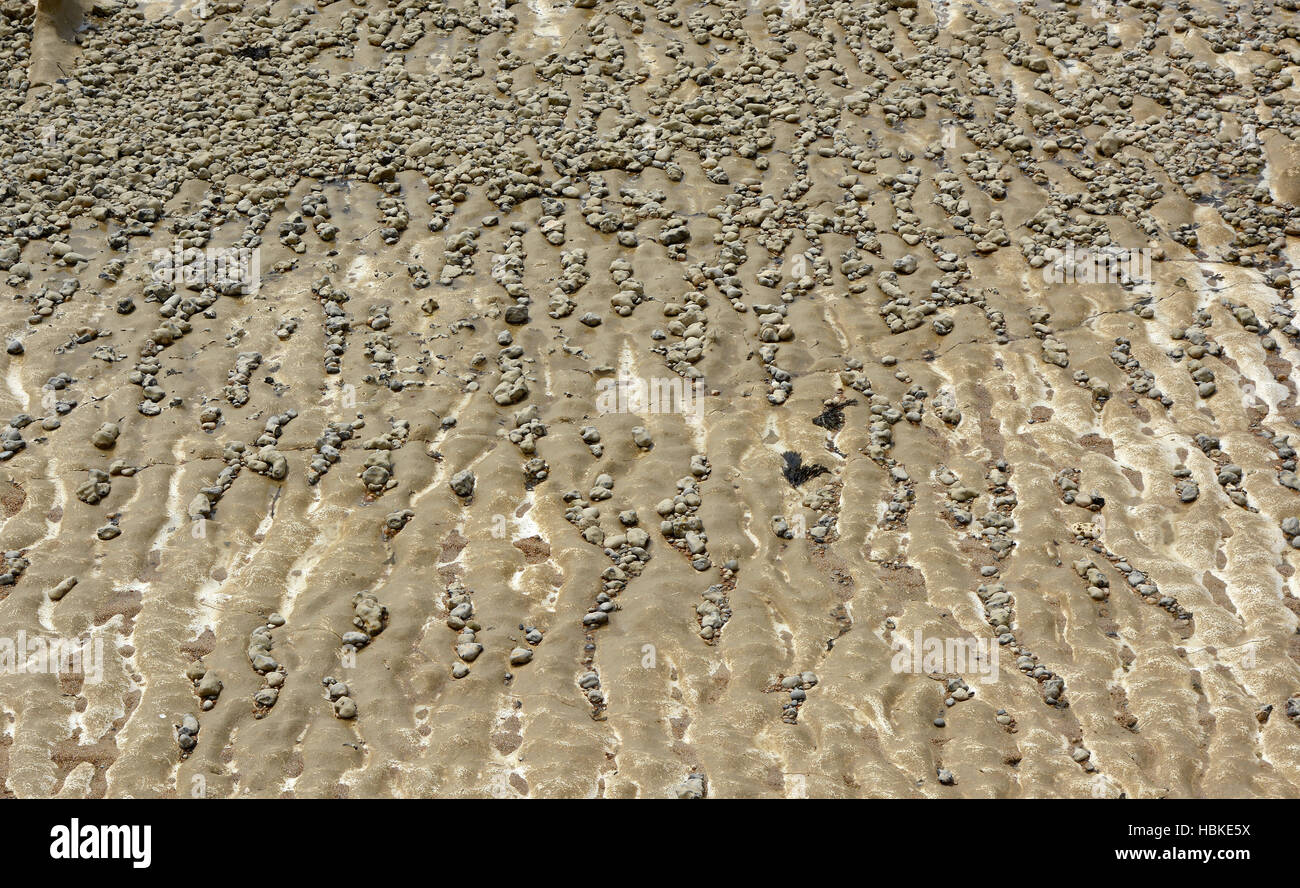 Erosionado chalk (carbonato de calcio) fondos marinos con guijarros. Cerca de Brighton, East Sussex, Inglaterra Foto de stock