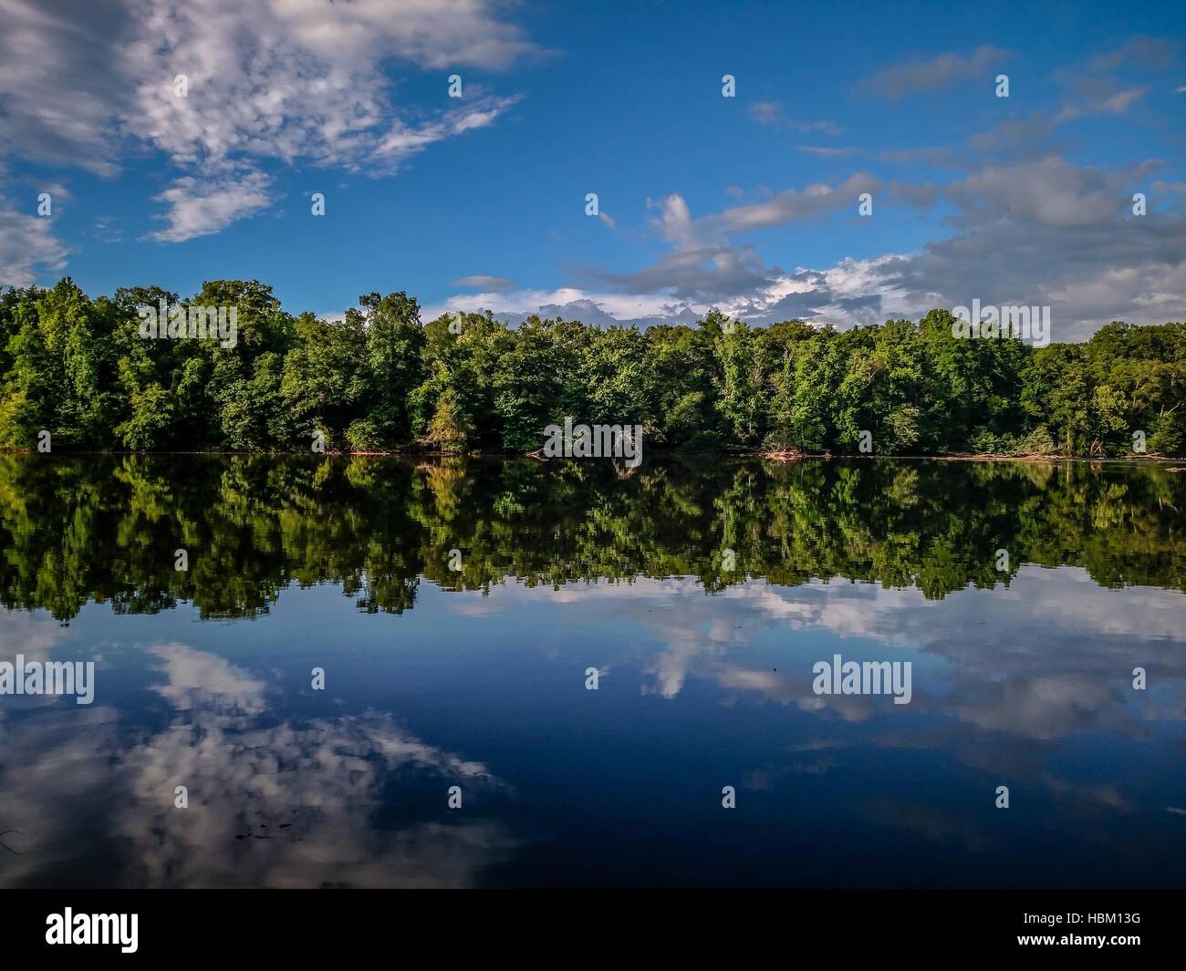 Límite de vegetación arbórea forestal reflexiones en río Catawba Foto de stock