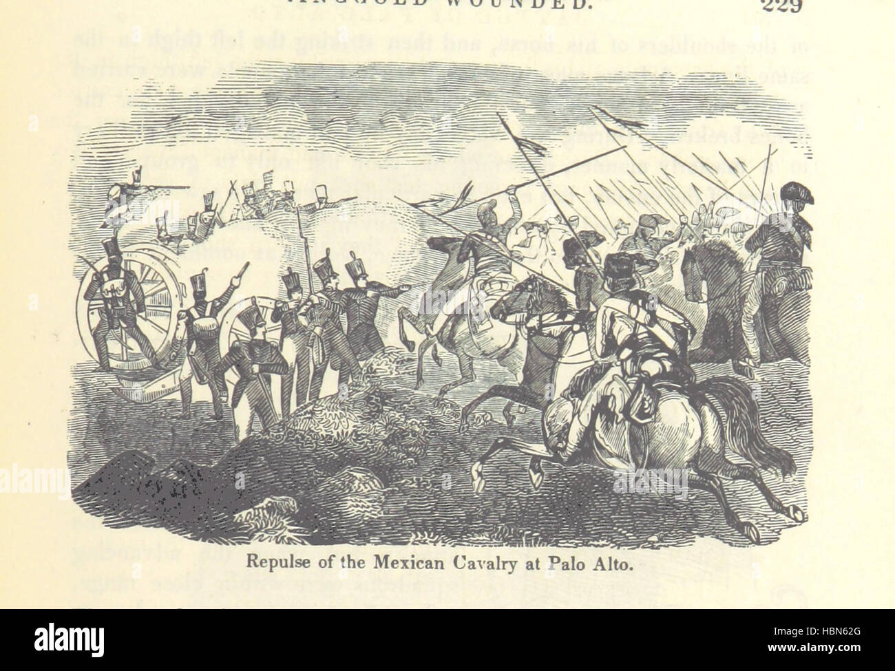 8 de mayo de 1846 batalla de palo alto brownsville escarcha fotografías