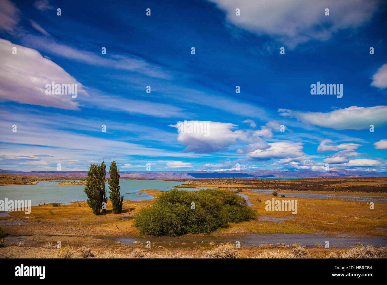 Plano amarillo desierto quemada en la Patagonia Foto de stock