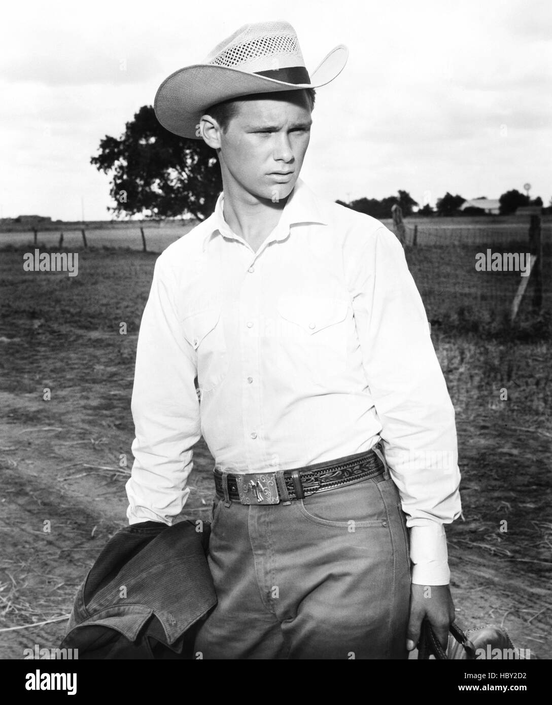 HUD, Brandon de Wilde, 1963 Fotografía de stock Alamy