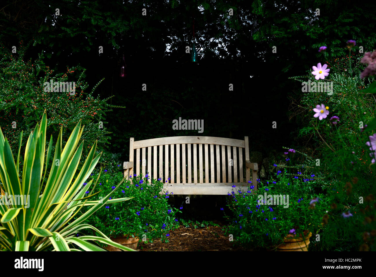 Banqueta de jardín de madera madera shade shady área sombreada ver viewpoint jardinería diseño floral de RM Foto de stock