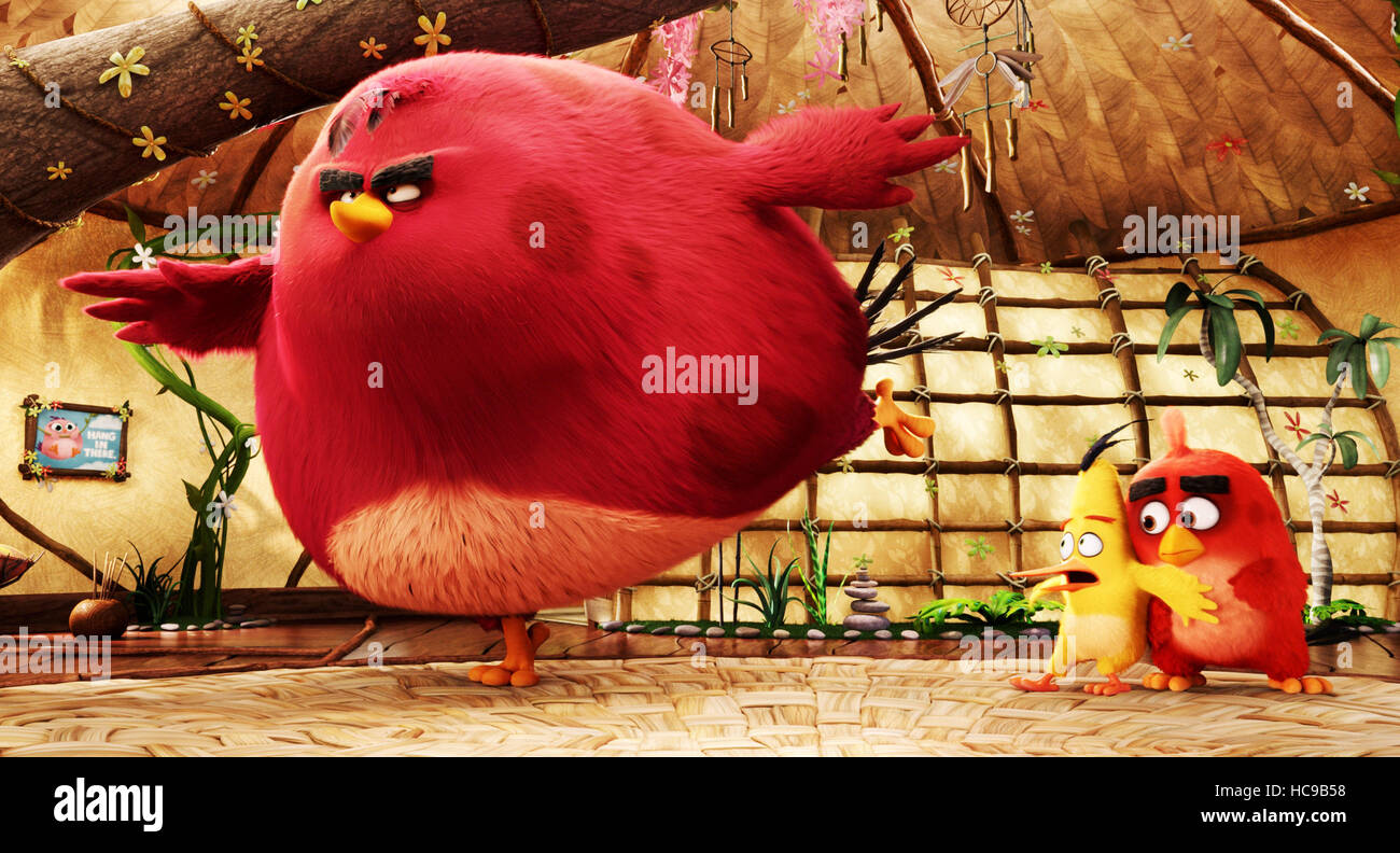 ANGRY BIRDS, Angry Birds (alias la película), desde la izquierda