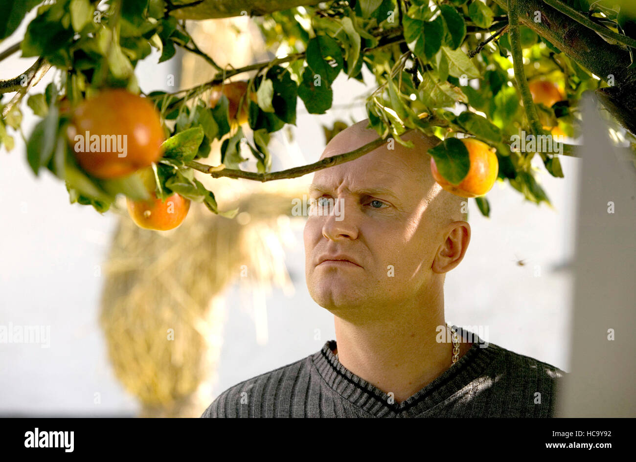 ADAM'S APPLES, (aka Adams aebler), Mads Mikkelsen, 2005. ©Outsider