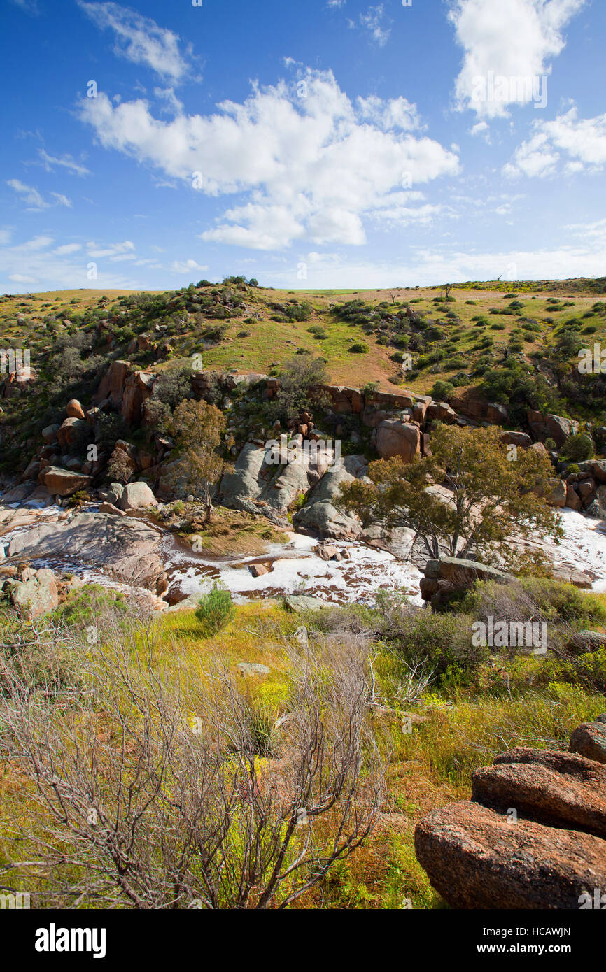 Mannum Falls South Australia Foto de stock
