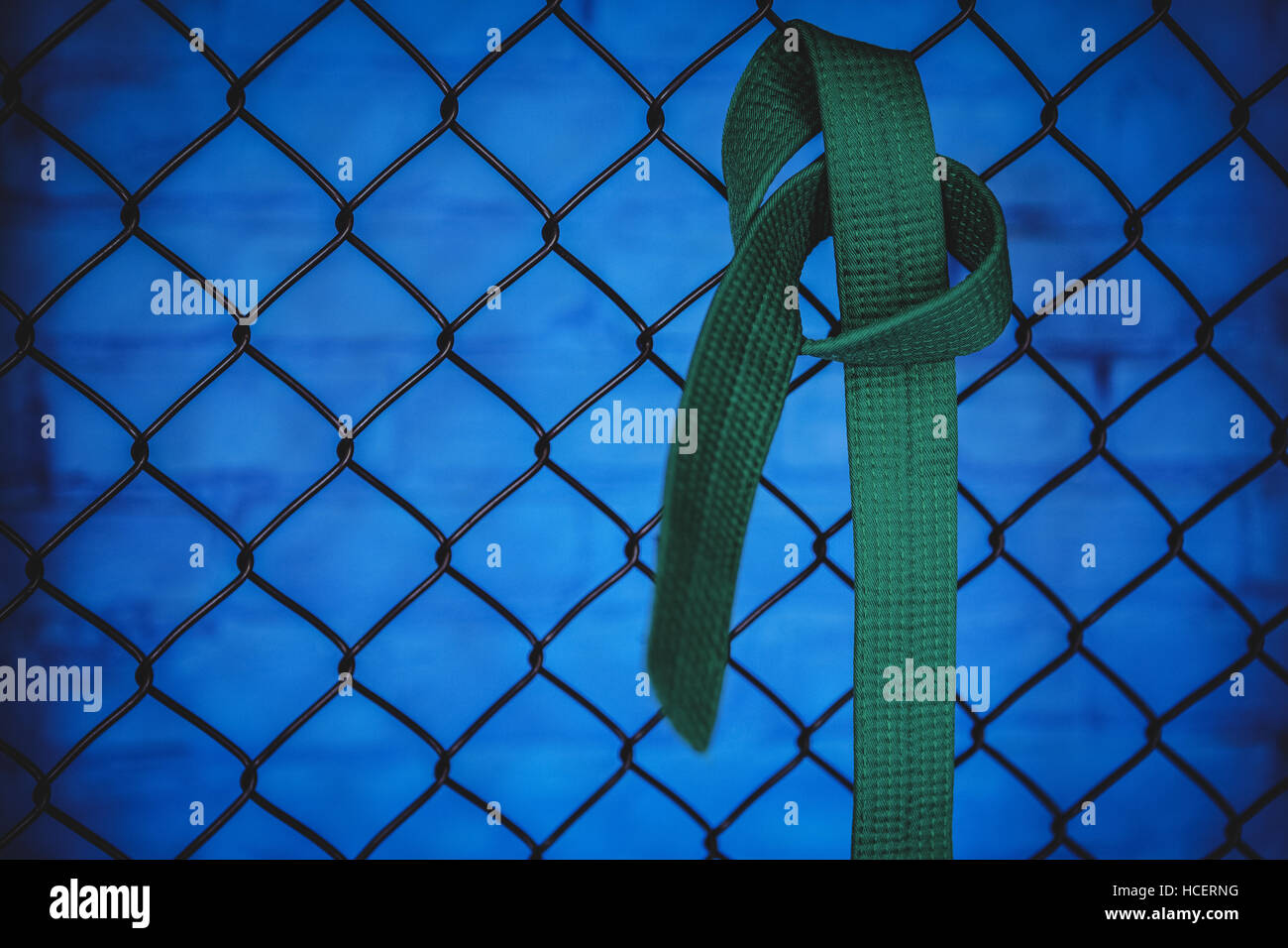 Cinturón verde de karate colgando sobre la valla de malla de alambre Foto de stock