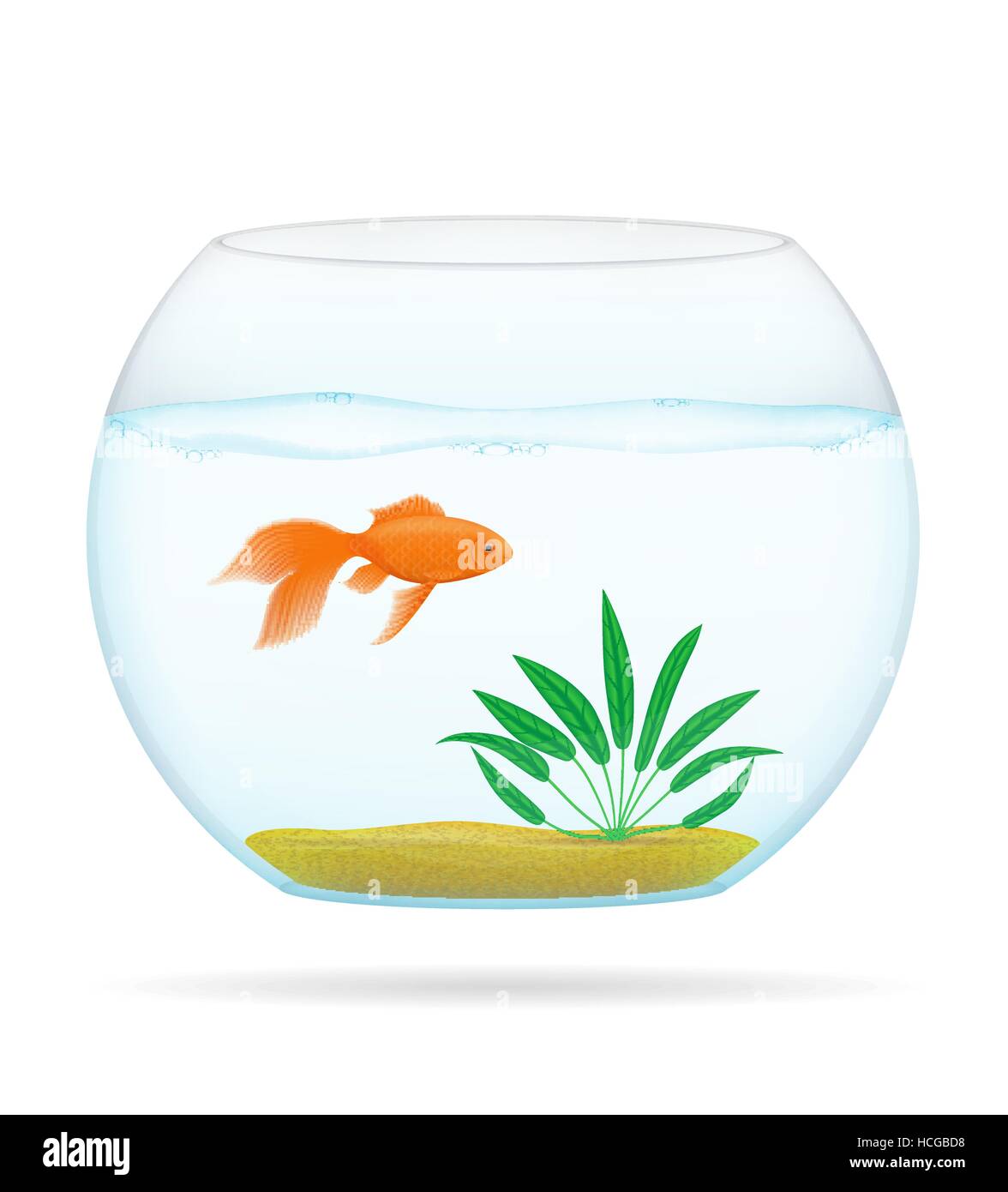 Los peces en un acuario transparente aislado sobre fondo blanco Imagen  Vector de stock - Alamy
