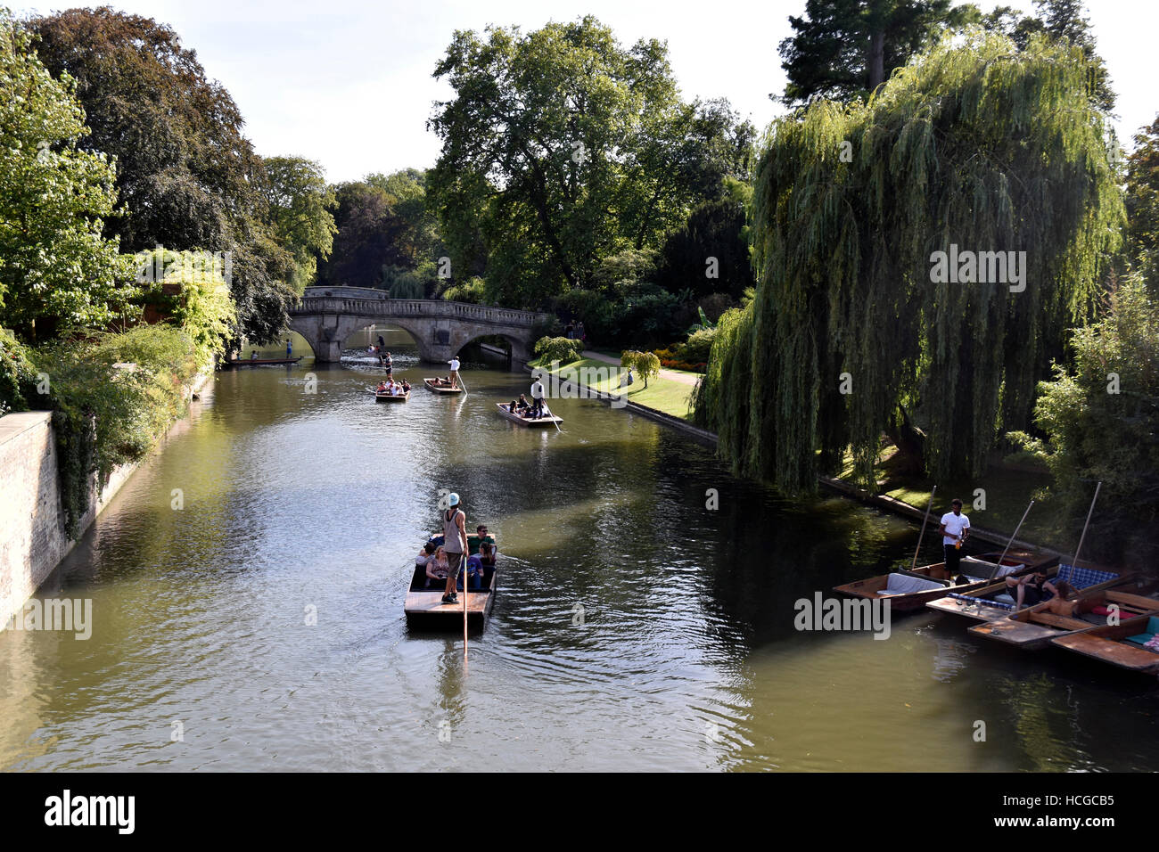 Punts del río Cam en Cambridge Foto de stock