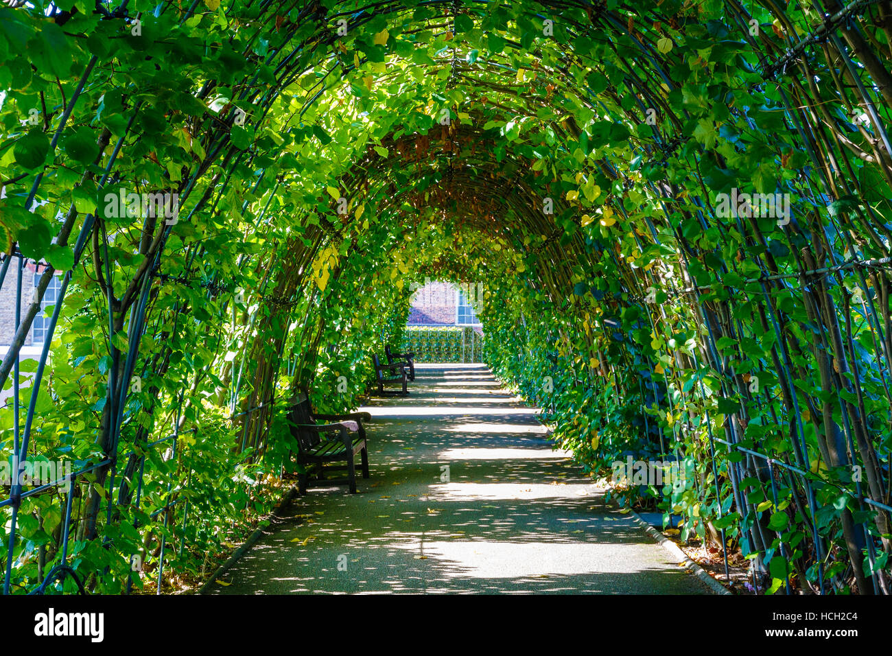 Paseo Cubierto por hojas verdes en Kensington Park, Londres Foto de stock
