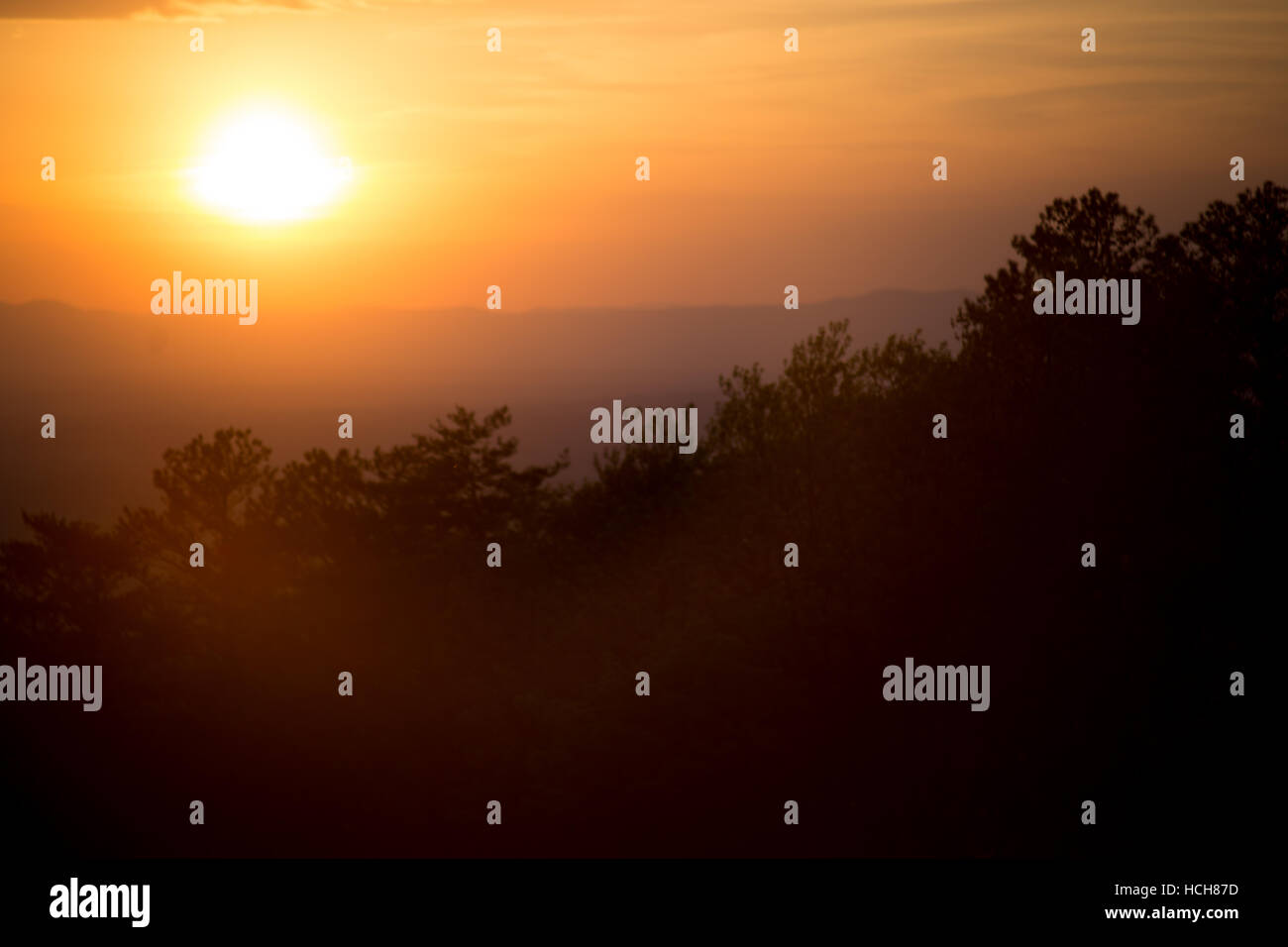 Sunset con lente deslumbramiento mostrando los árboles y un lejano horizonte montañoso Foto de stock